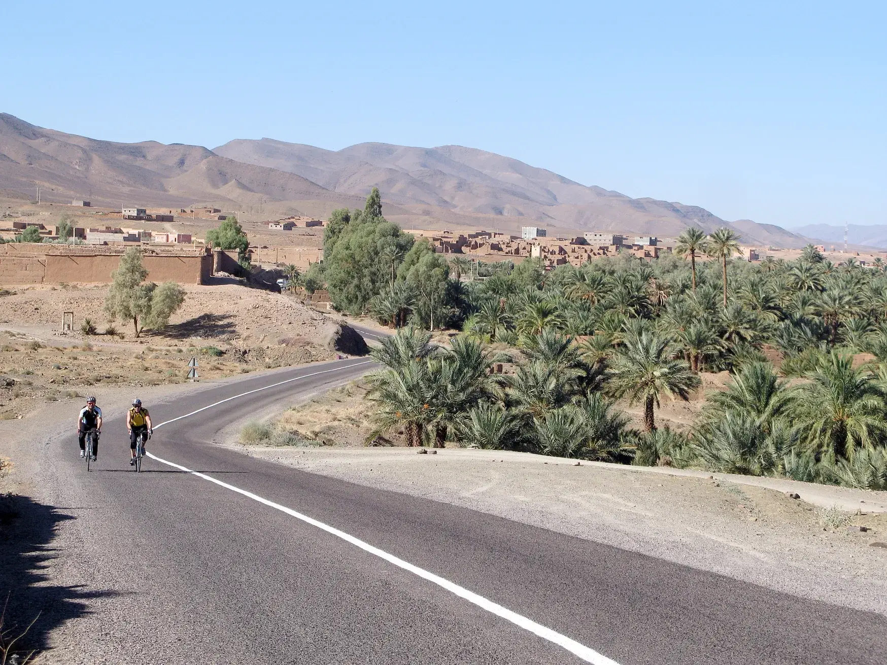 Geführte Rennradreise in Marokko: Zwei Teilnehmer fahren entlang einer Oase mit Palmen und einer traditionellen Lehm-Kasbah.