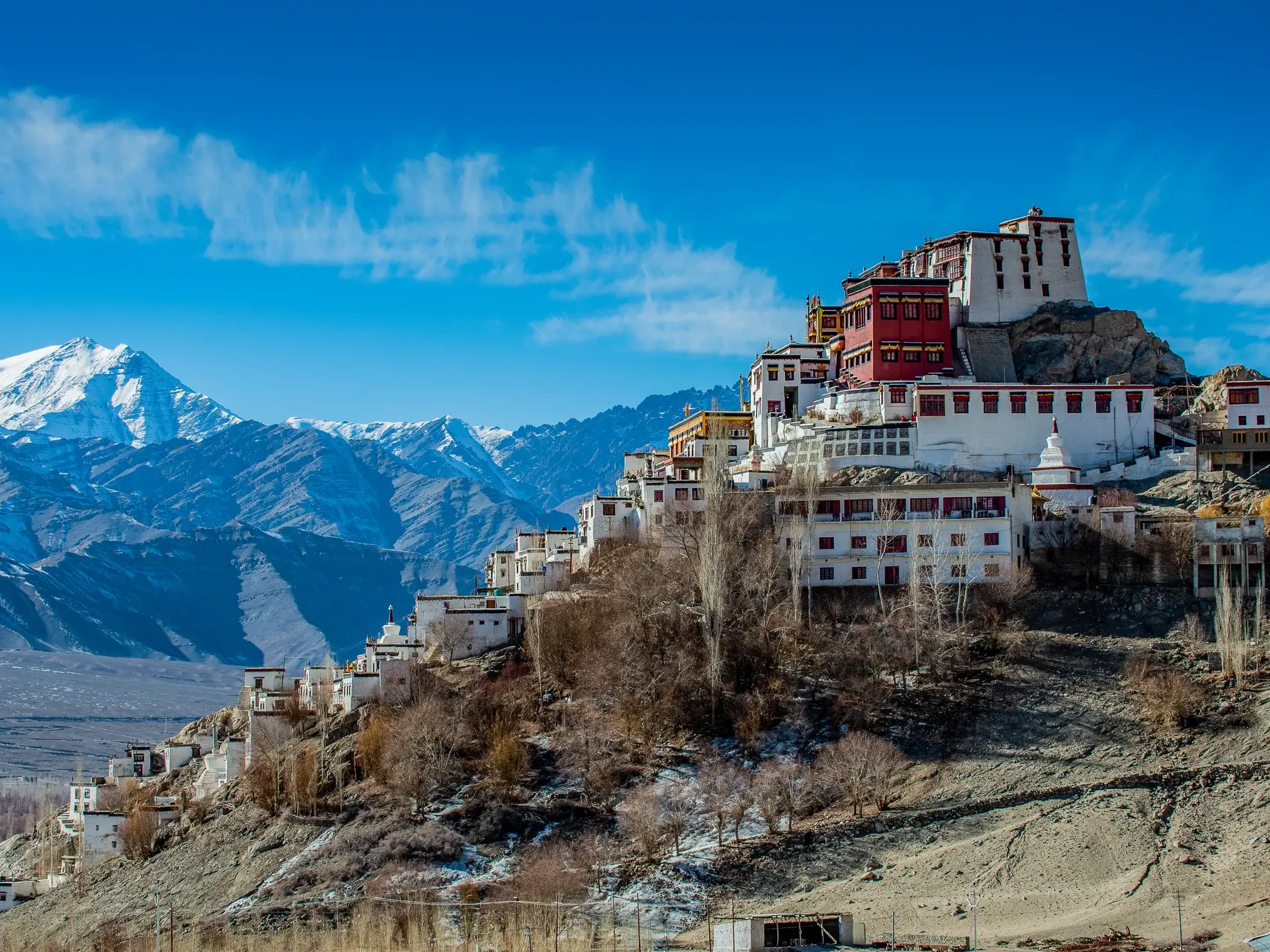 Das Thiksey Kloster in Ladakh thront an einem Berghang vor der Kulisse der schneebedeckten Himalaya-Gipfel bei blauem Himmel.