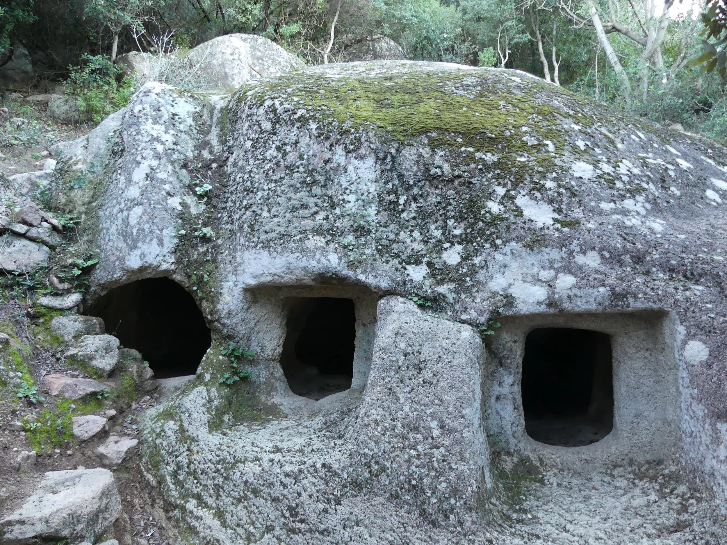 Prähistorische, in einen großen, moosbewachsenen Felsen gehauene Grabkammern, die sogenannten Domus de Janas in Montessu auf Sardinien.