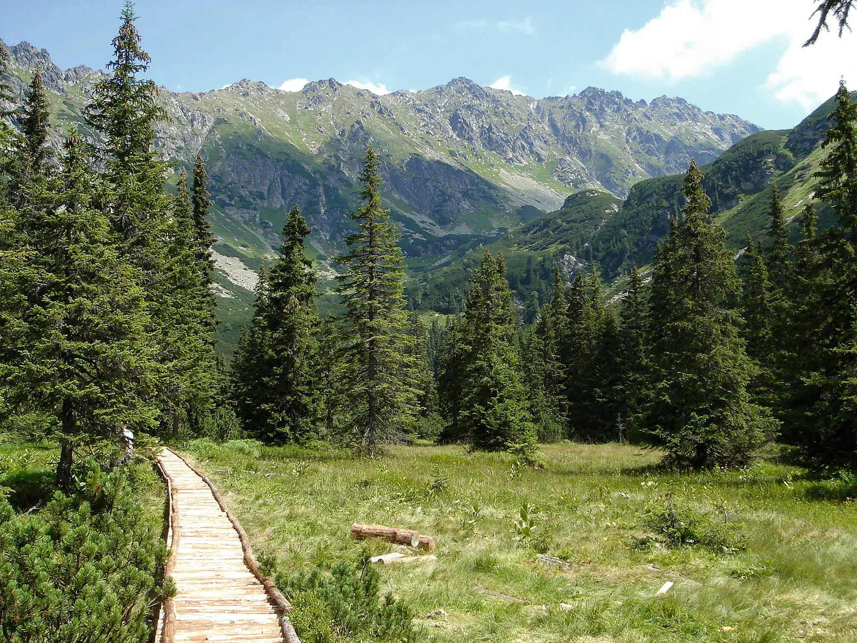 Ein Holzsteg führt als Wanderweg durch eine grüne Almwiese mit Nadelbäumen vor der felsigen Bergkulisse der Hohen Tatra.