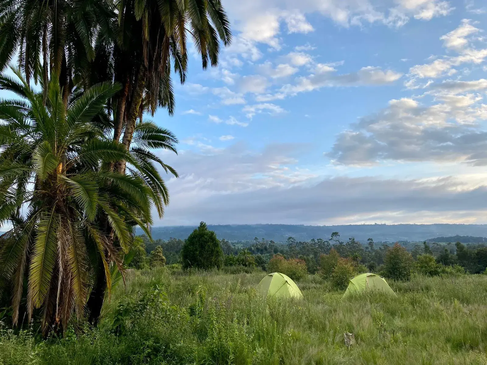 Zwei grüne Zelte auf einer Wiese beim Trekking in Süd-Äthiopien mit weitem Ausblick über die grüne Hügellandschaft.