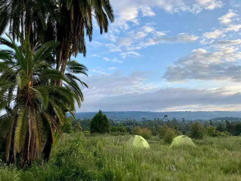 Zwei grüne Zelte auf einer Wiese beim Trekking in Süd-Äthiopien mit weitem Ausblick über die grüne Hügellandschaft.