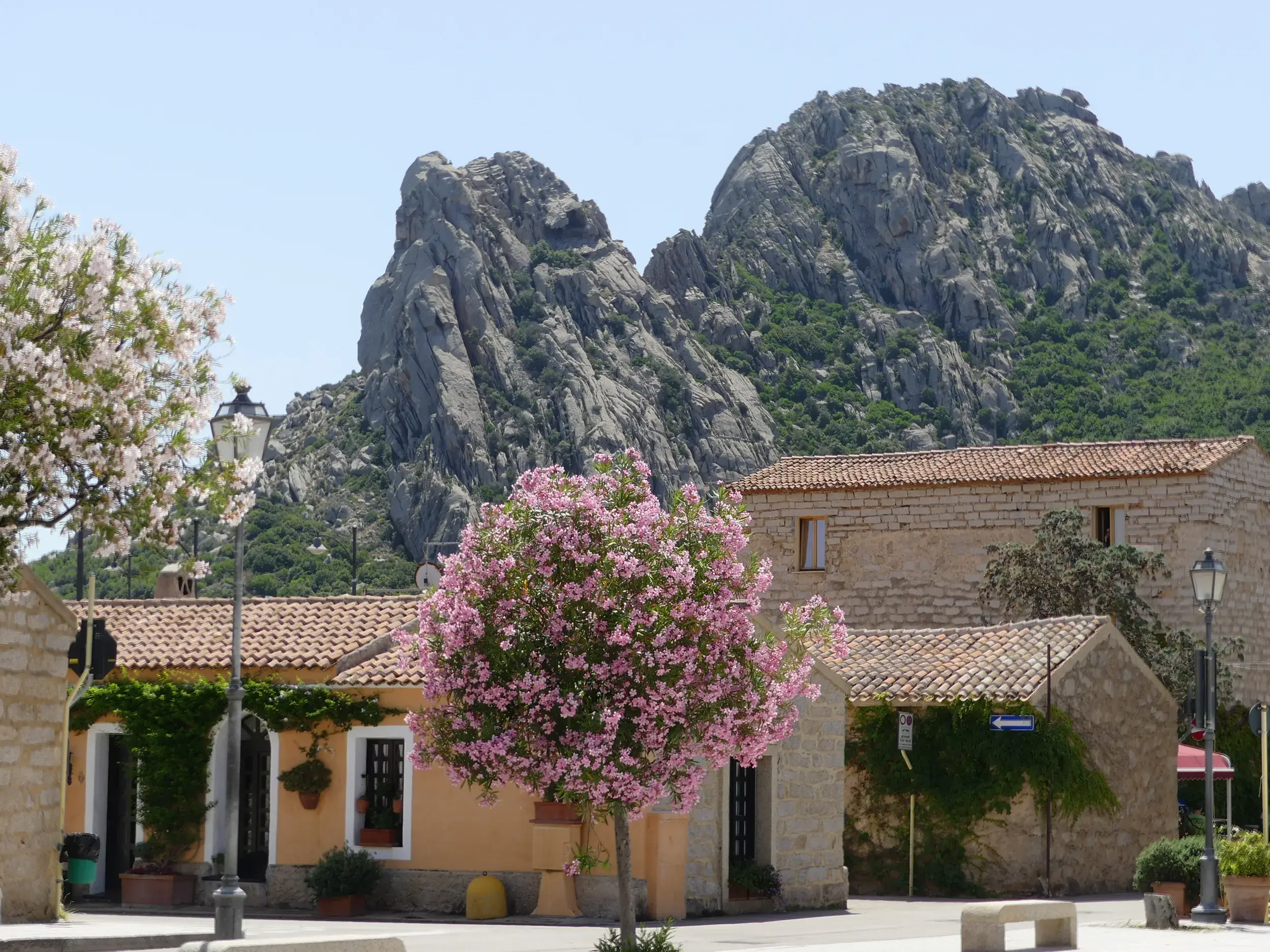 Idyllische Gasse im Künstlerdorf San Pantaleo mit blühenden Bäumen und Blick auf die markanten Granitfelsen Sardiniens.