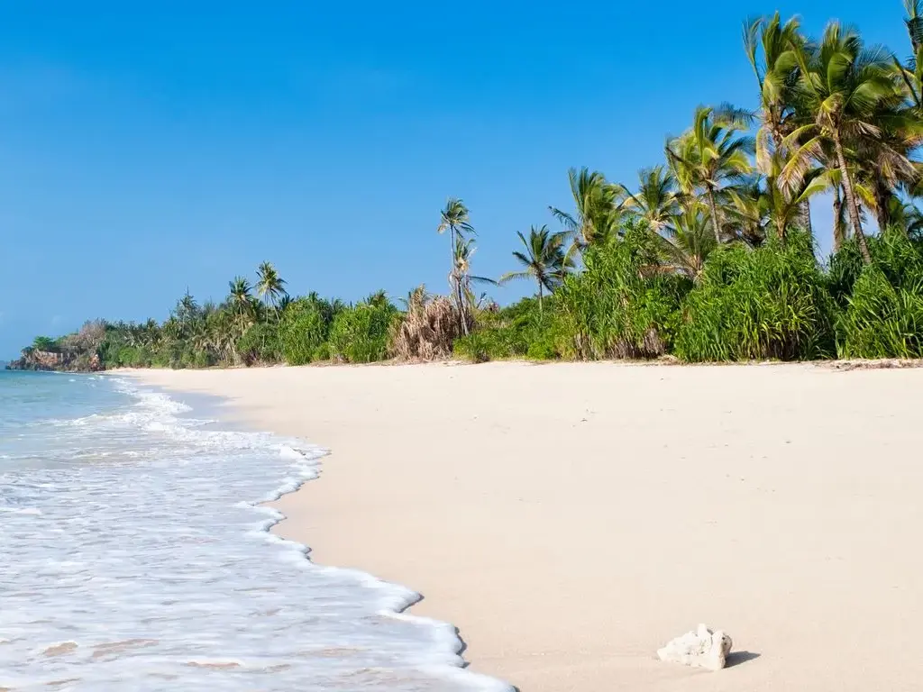 Weißer Sandstrand am Diani Beach, gesäumt von Palmen, mit sanften Wellen des türkisen Indischen Ozeans in Kenia.
