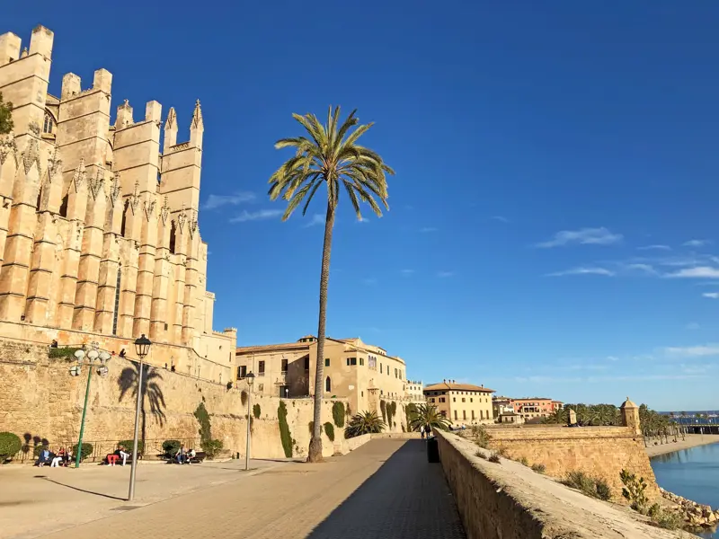 Sonnige Promenade an der gotischen Kathedrale La Seu in Palma de Mallorca mit einer hohen Palme und seitlichem Meerblick.