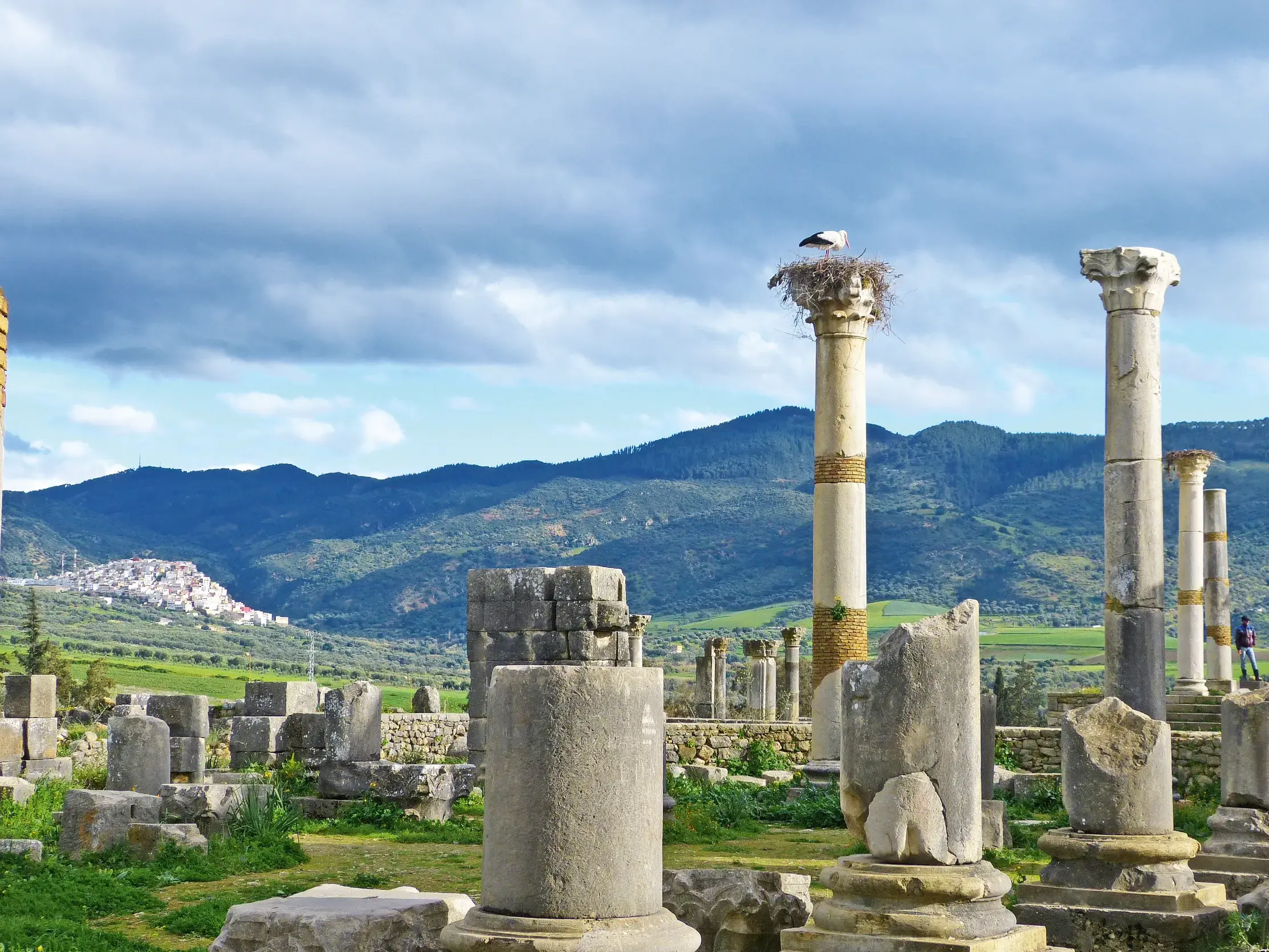 Antike Säulen der UNESCO-Stätte Volubilis in Marokko, ein Storch nistet auf einer Ruine vor grüner Berglandschaft.