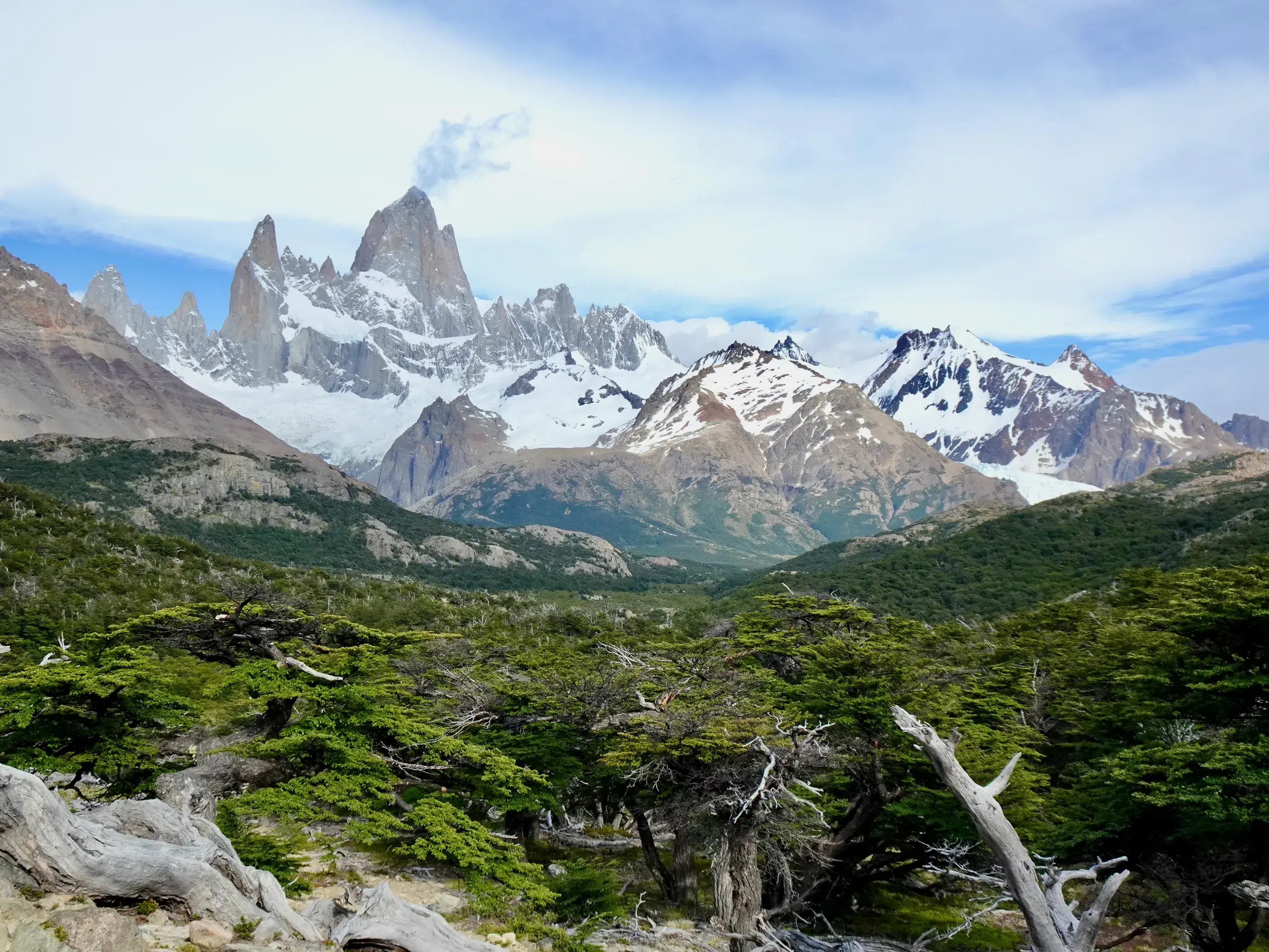 Trekking in Patagonien mit Blick durch grüne Südbuchen auf den berühmten Fitz Roy bei El Chaltén im Los Glaciares Nationalpark.