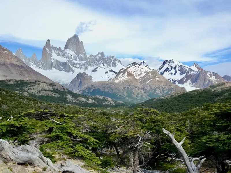 Trekking in Patagonien mit Blick durch grüne Südbuchen auf den berühmten Fitz Roy bei El Chaltén im Los Glaciares Nationalpark.