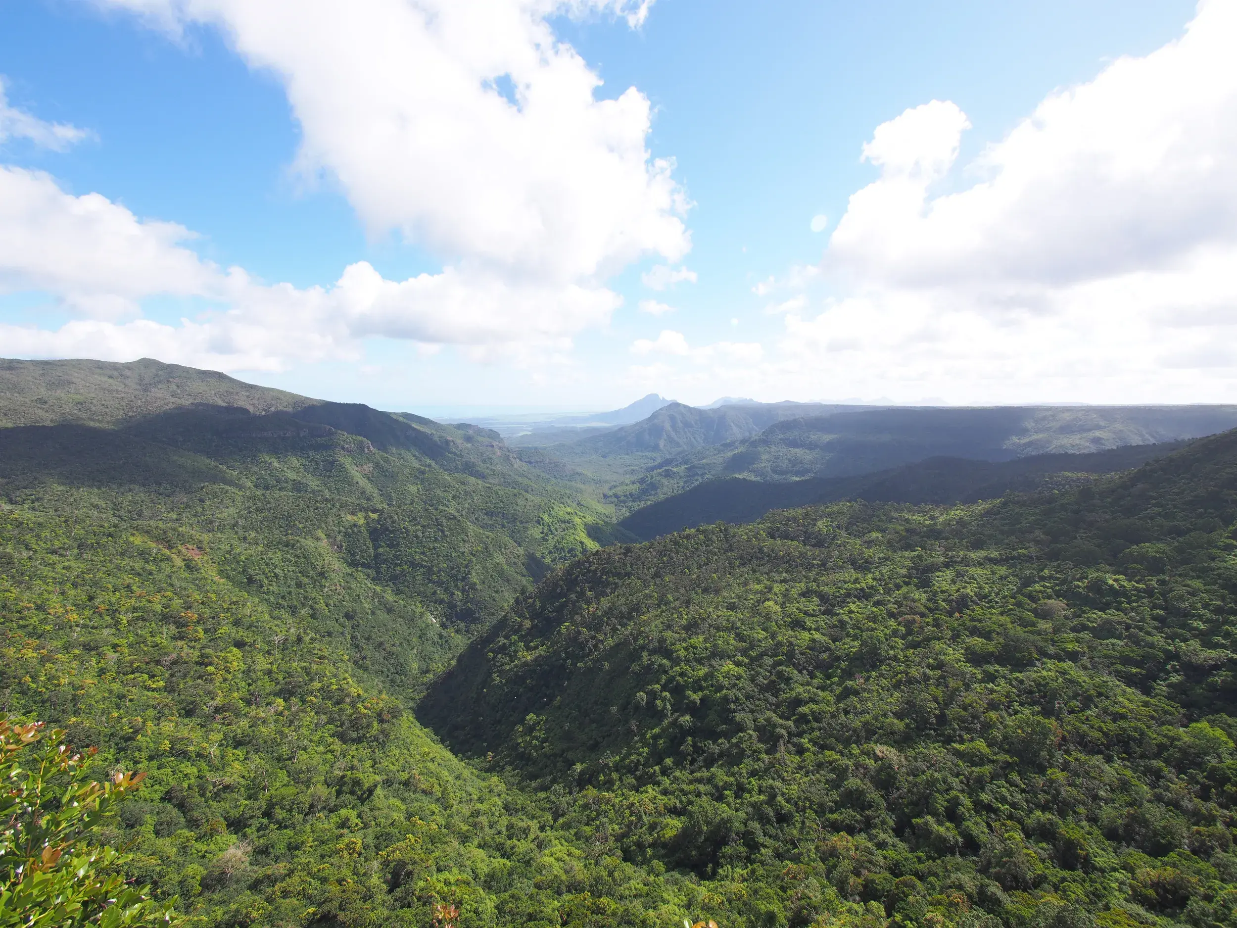 Weitblick von einem Aussichtspunkt über das grüne, bewaldete Tal des Black-River-Gorges-Nationalparks auf Mauritius.