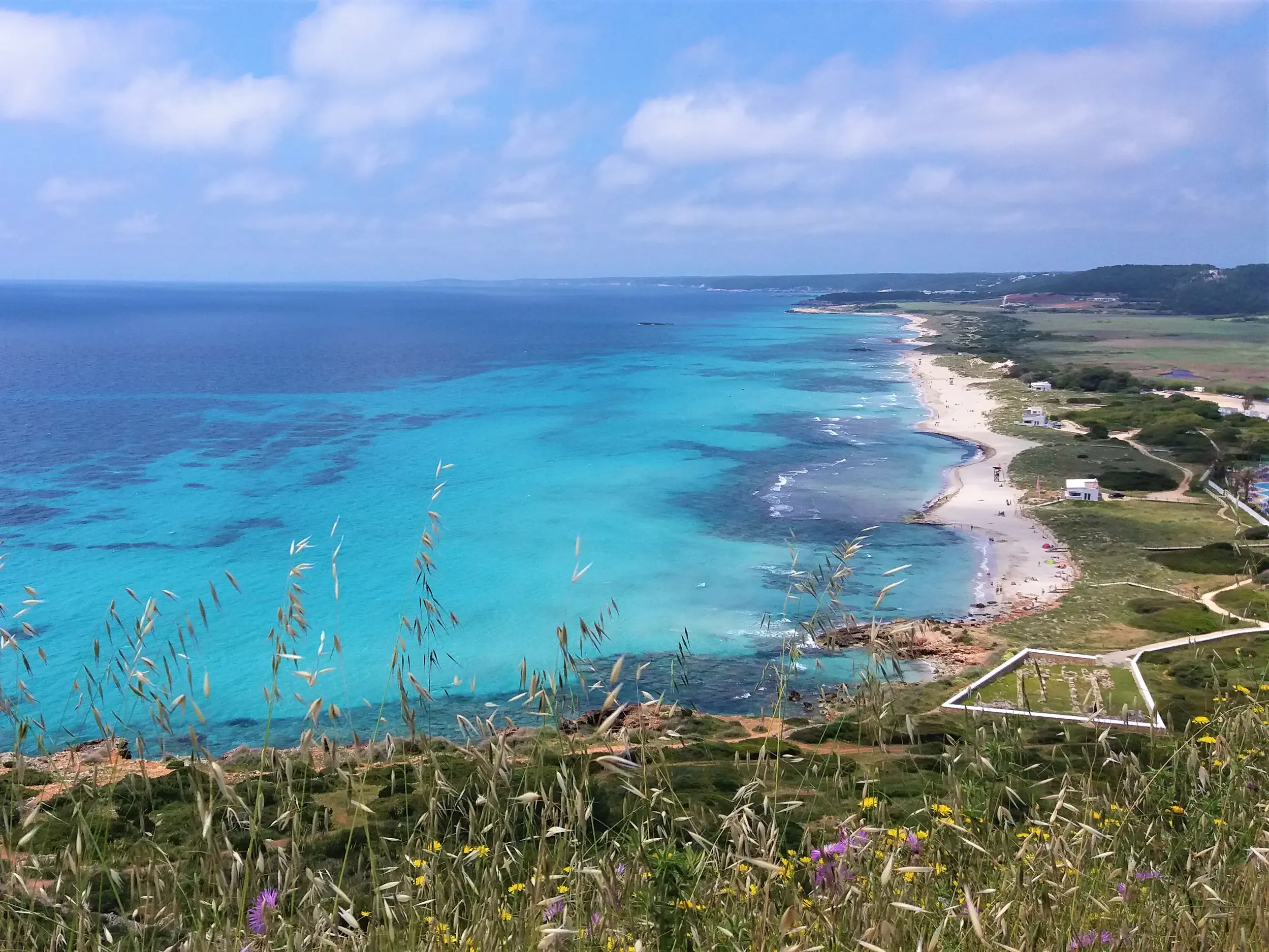 Weite Aussicht bei einer Wanderung auf Menorcas Südküste mit Wildblumen, türkisfarbenem Meer und dem Strand von Son Bou.