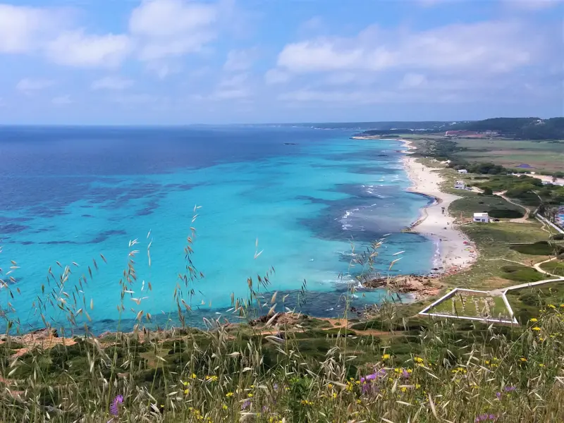 Weite Aussicht bei einer Wanderung auf Menorcas Südküste mit Wildblumen, türkisfarbenem Meer und dem Strand von Son Bou.
