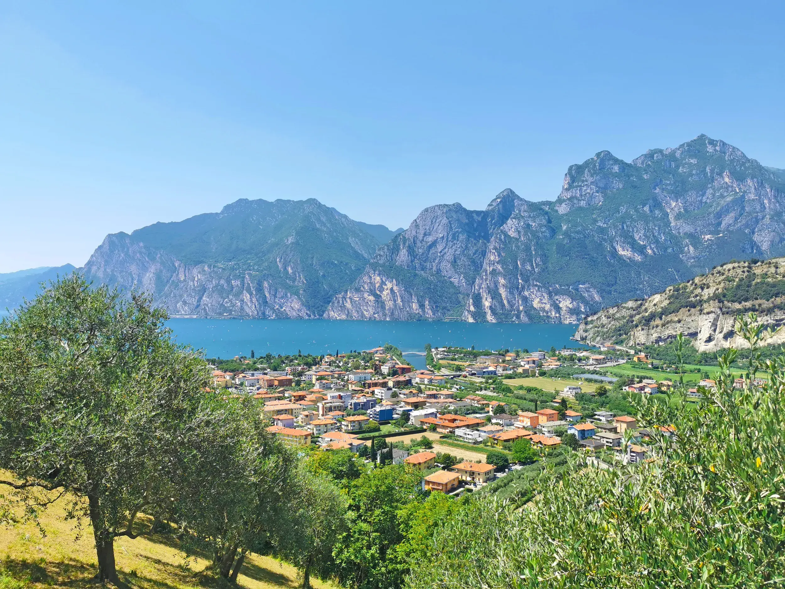 Wanderung zum Gardasee: Panoramablick auf den See, die Berge des Trentino und die mediterrane Vegetation mit Olivenhainen.