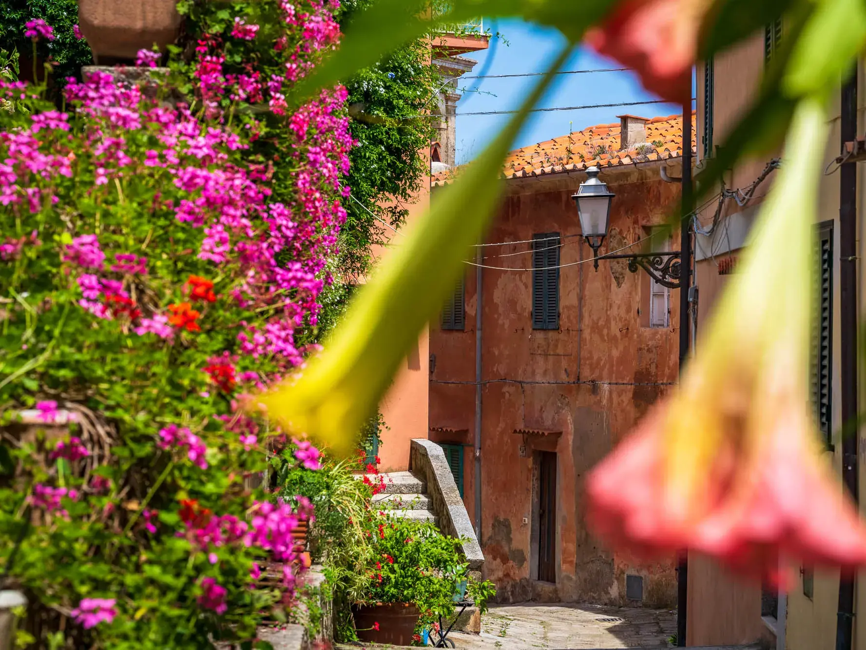 Eine blumengeschmückte Gasse mit Steintreppen im malerischen Bergdorf Poggio auf der Wanderreise über Elba.