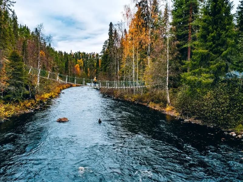 Wanderer überqueren eine Hängebrücke auf der Bärenrunde im Oulanka-Nationalpark während der finnischen Ruska.
