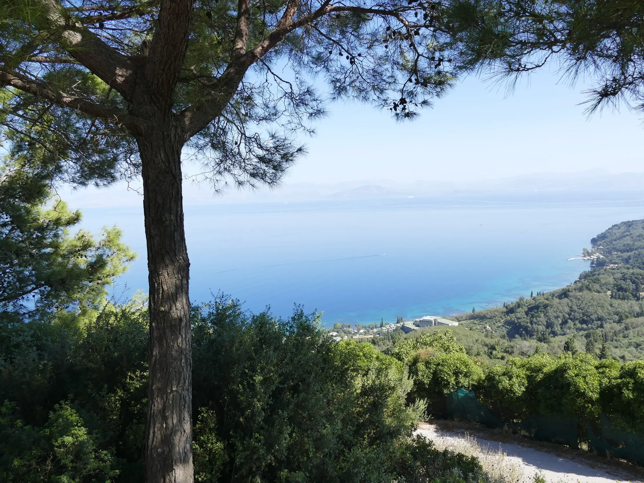 Beim Wandern auf dem Korfu-Trail eröffnet sich der Blick durch Pinien auf die grüne Küste und das weite, blaue Meer.