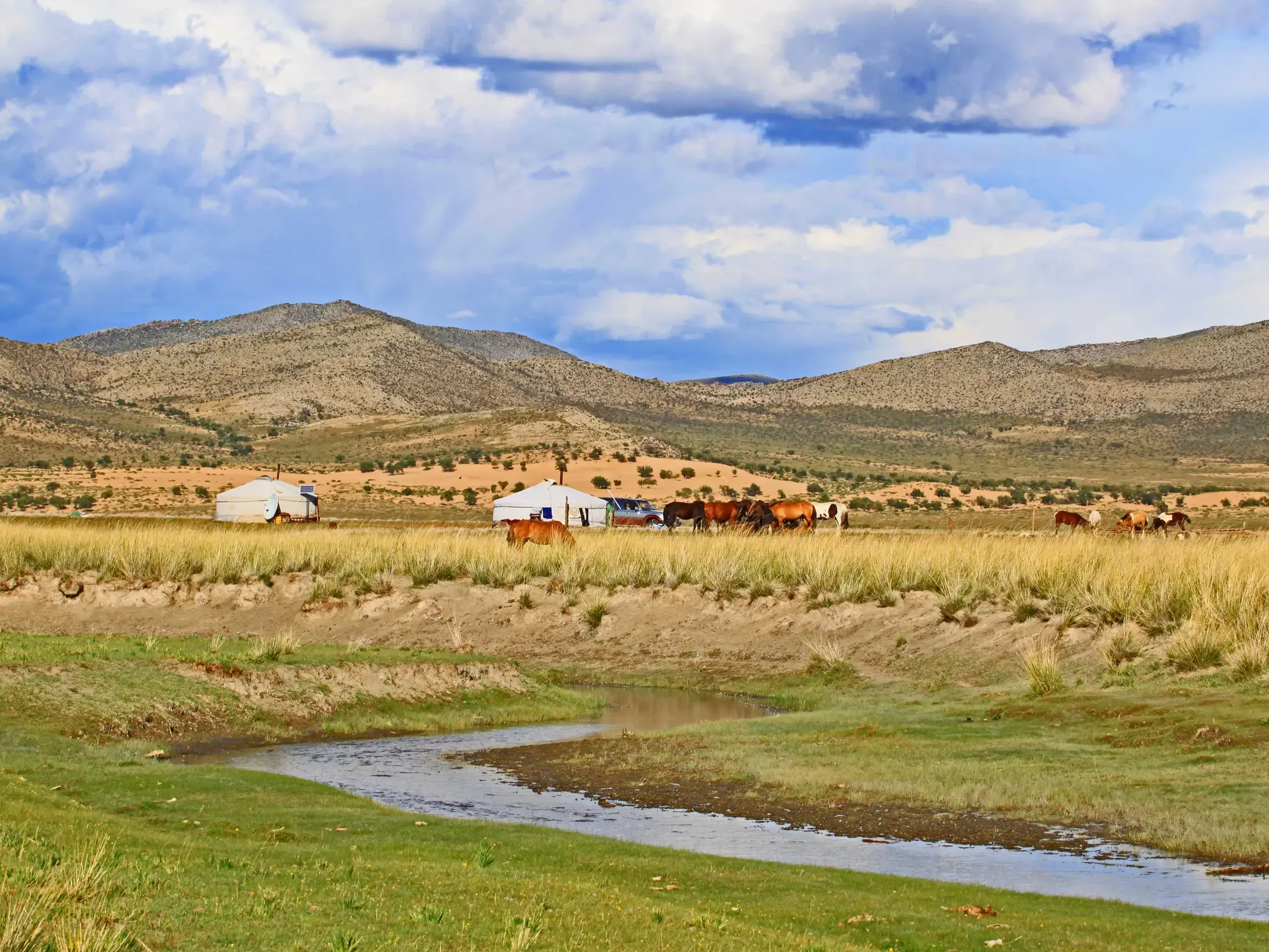 Traditionelles Jurtenlager mit einer Pferdeherde an einem Fluss in der weiten, hügeligen Steppenlandschaft der Mongolei.