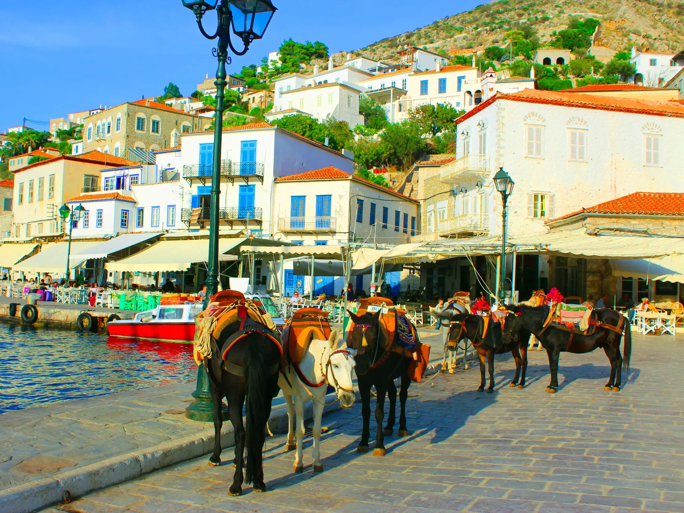 Sonnige Hafenpromenade auf der griechischen Insel Hydra mit gesattelten Eseln, dem traditionellen Transportmittel.