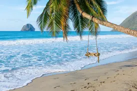 Geneigte Palme an der Küste von Martinique mit Blick auf den markanten Diamantfelsen, der aus dem blauen Meer ragt.