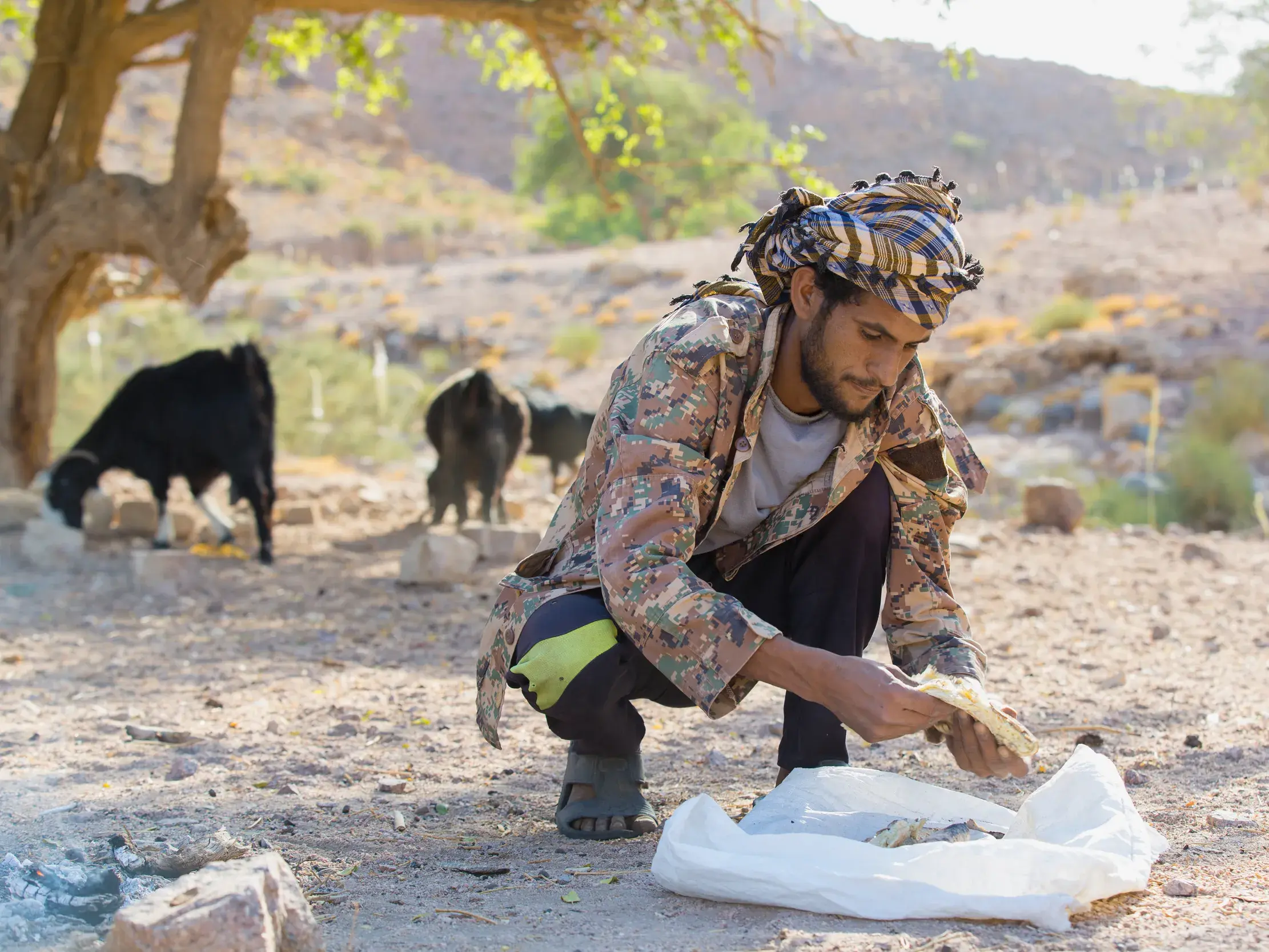 Auf einer Studiosus-Reise in Jordanien: Ein Beduine bereitet traditionell Fladenbrot zu, im Hintergrund grasen Ziegen.