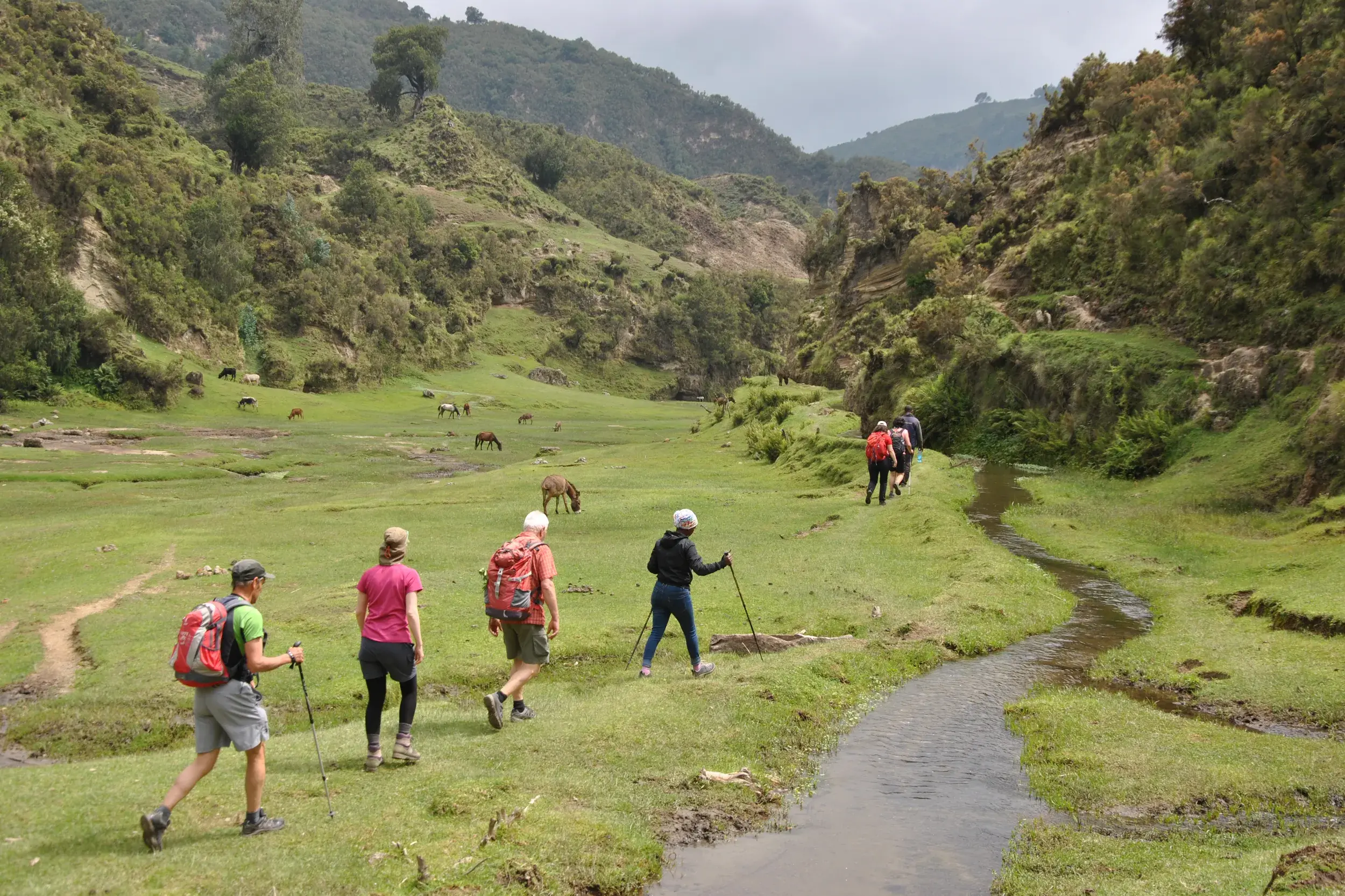 Eine Reisegruppe beim Trekking in Äthiopien wandert auf einem Pfad entlang eines Baches durch ein grünes Tal im Gurage-Hochland.