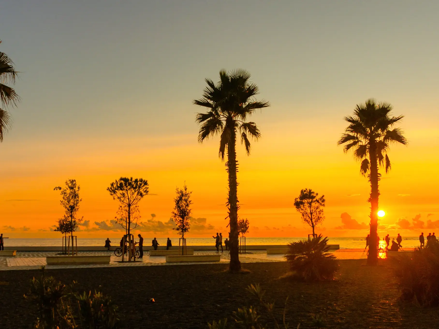 Palmen an der Promenade der Hafenstadt Durres bei einem leuchtend orangen Sonnenuntergang über dem Meer in Albanien.