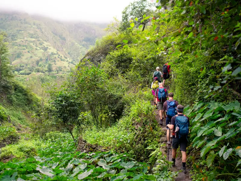 Eine Wandergruppe beim Trekking auf einem schmalen Pfad durch die üppige, tropische Vegetation des grünen Paul-Tals auf Santo Antão.