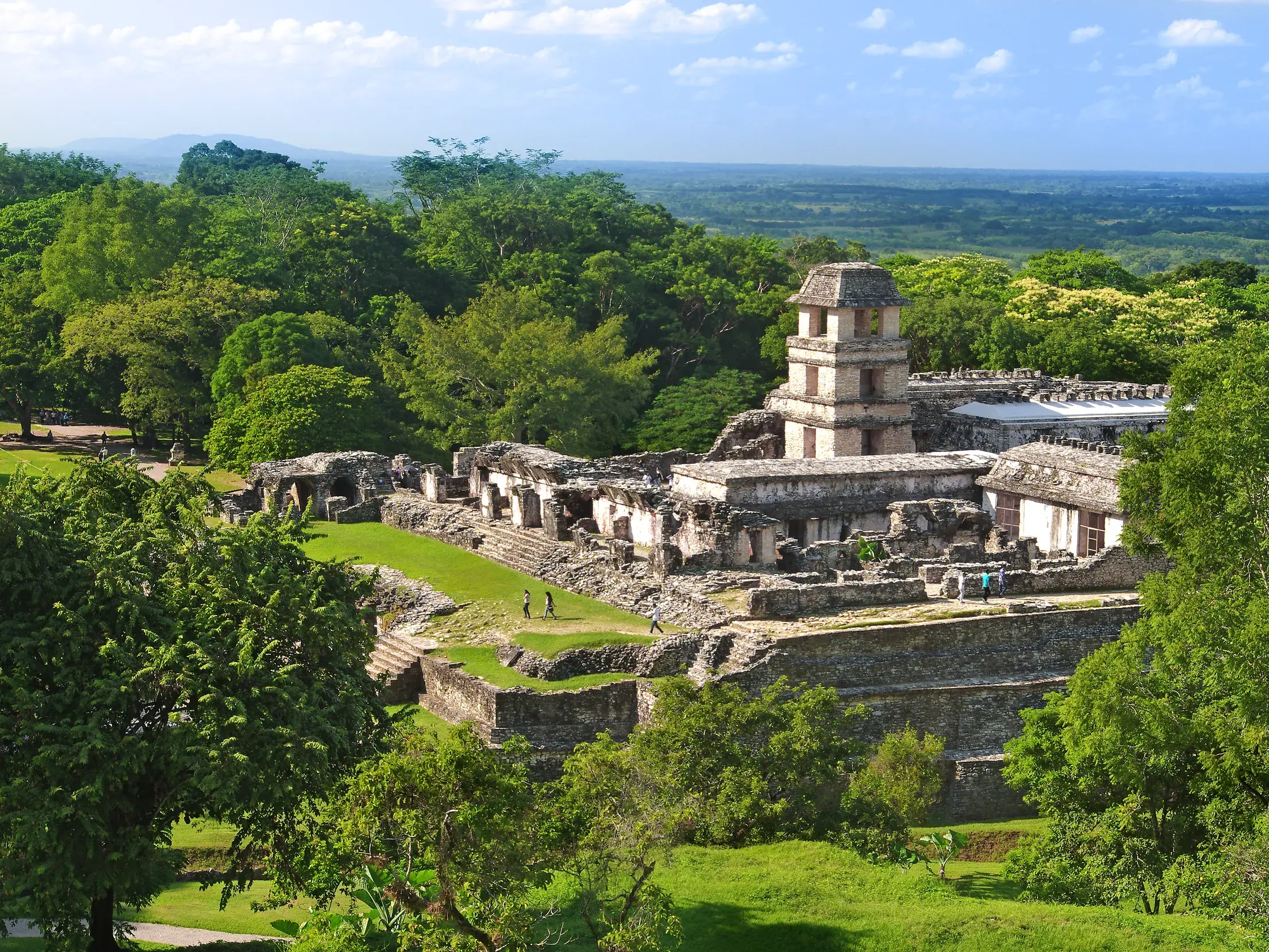 Weitblick über die historische Maya-Ruinenstadt Palenque mit dem Palast, umgeben vom dichten Dschungel in Chiapas.