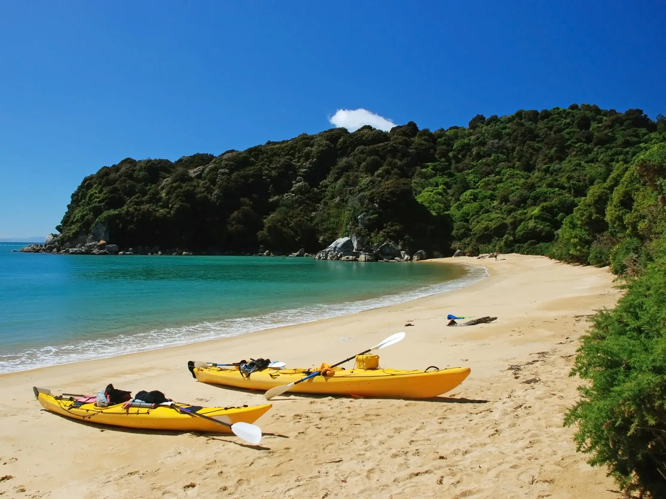 Zwei gelbe Seekajaks liegen an einem einsamen Sandstrand mit türkisfarbenem Wasser im Abel Tasman Nationalpark, Neuseeland.