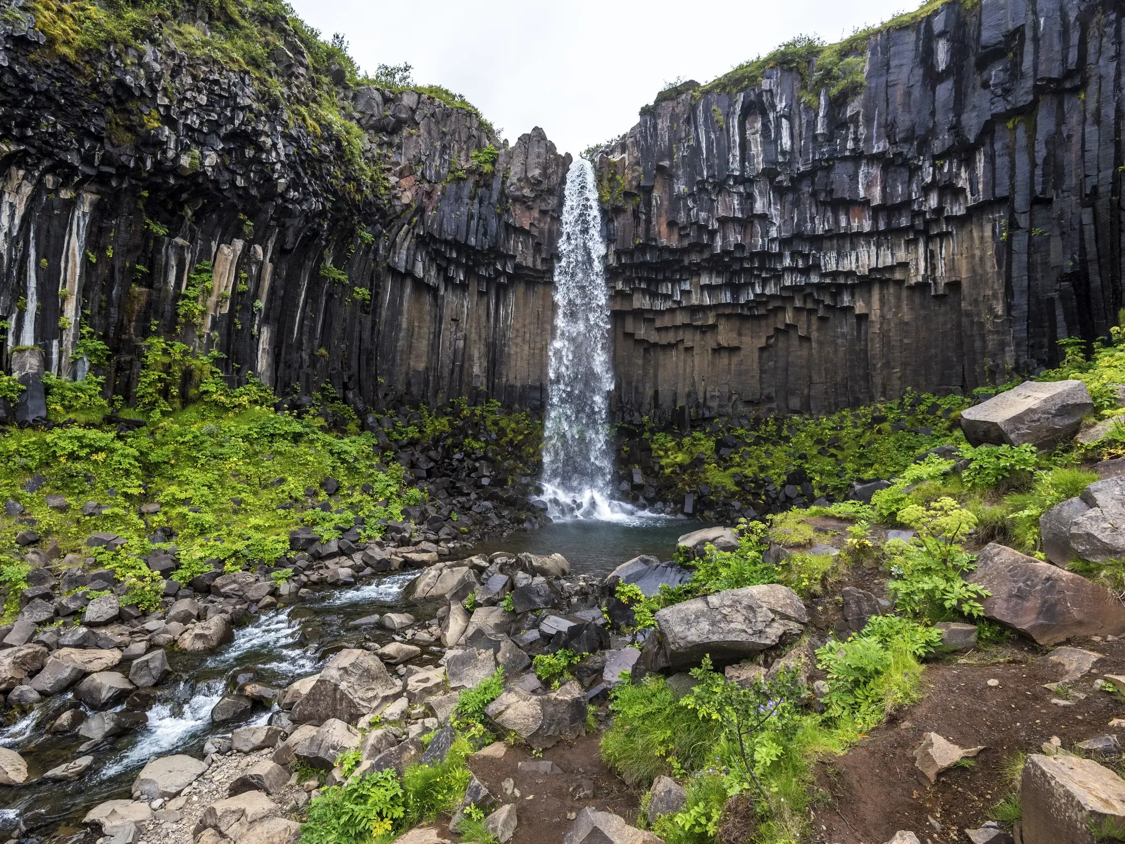 Der Svartifoss Wasserfall stürzt über einzigartige Basaltsäulen, ein Highlight der Wanderung im Skaftafell-Nationalpark.