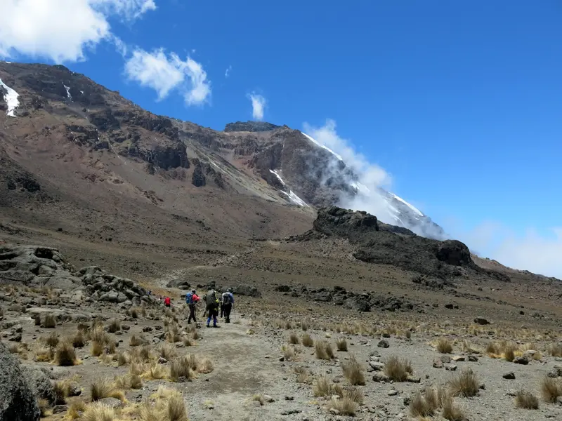 Eine kleine Trekkinggruppe auf der Machame-Route wandert durch die alpine Wüste in Richtung des schneebedeckten Kilimanjaro-Gipfels.