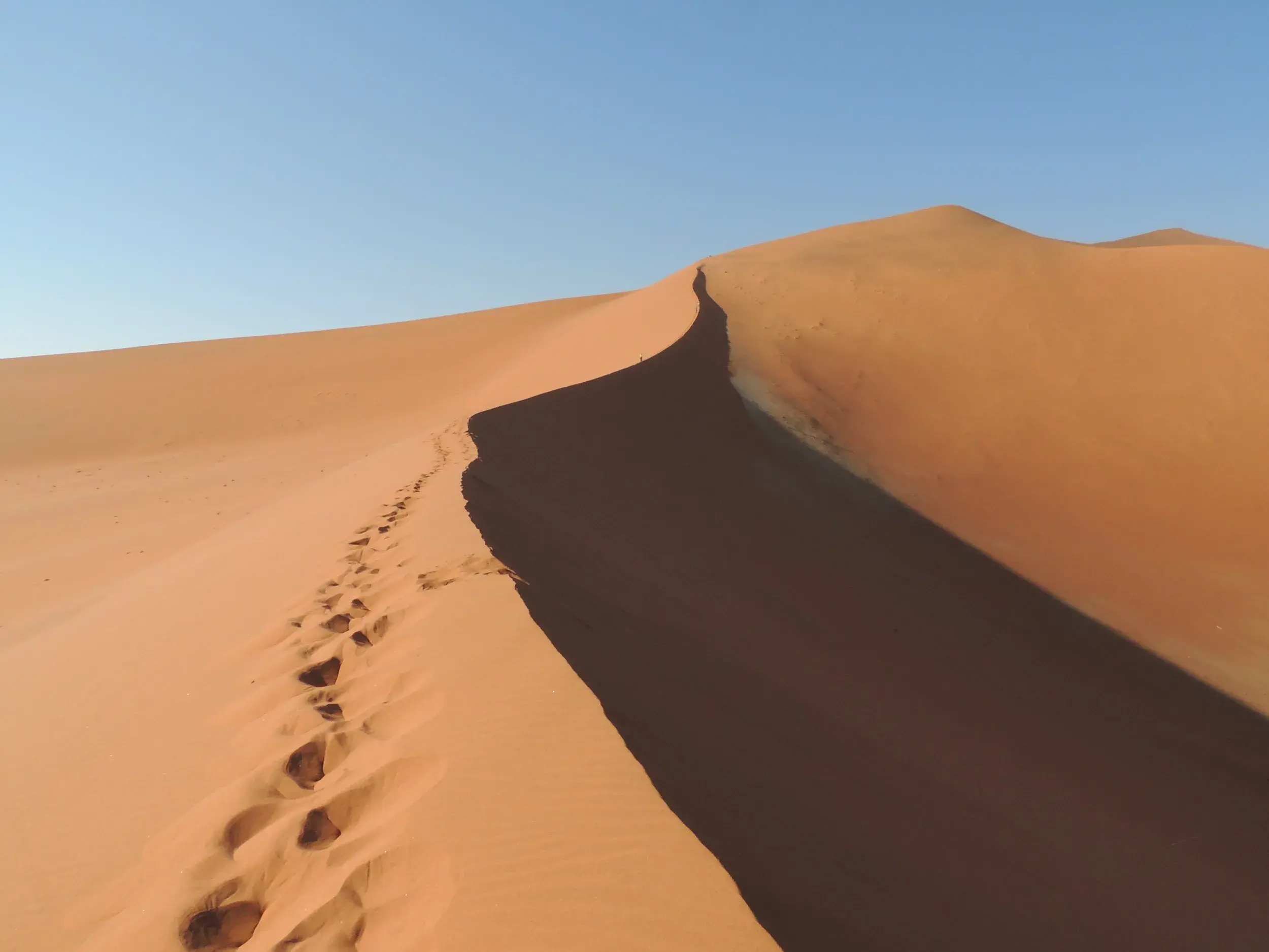 Fußspuren auf dem schmalen Grat einer riesigen Sanddüne bei Sossusvlei während einer Trekking-Tour in der Namib-Wüste.
