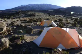 Zelte in einem Hochgebirgscamp auf dem Northern Circuit am Kilimanjaro mit Blick auf den schneebedeckten Kibo-Gipfel.