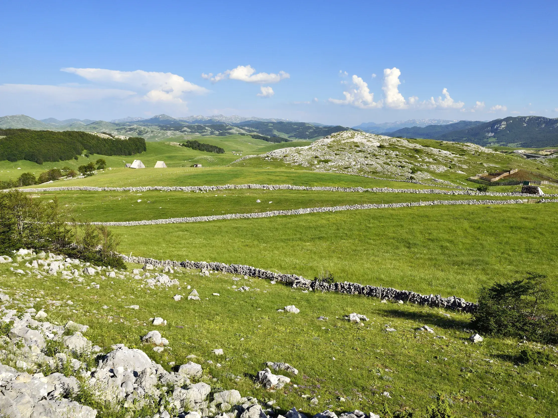 Weite, grüne Hochweiden im Bjelasica-Gebirge in Montenegro, durchzogen von alten Steinmauern und mit Almhütten am Horizont.