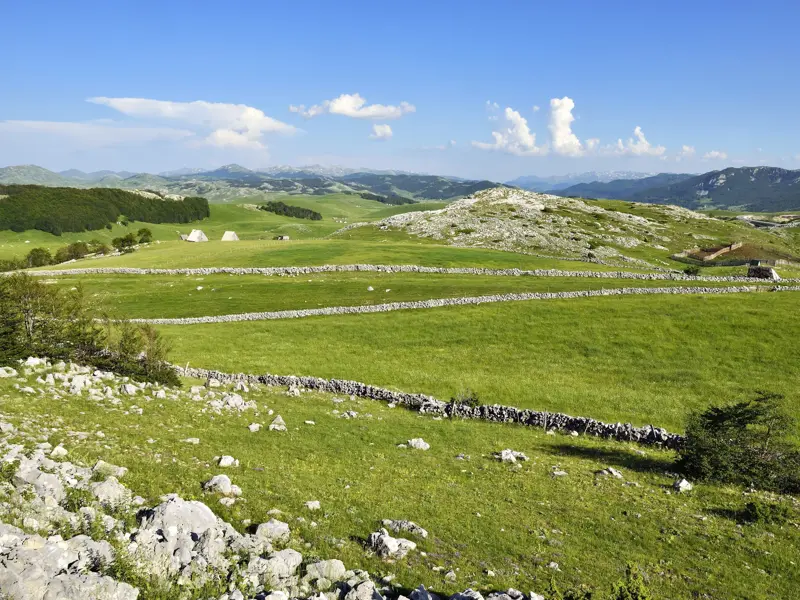 Weite, grüne Hochweiden im Bjelasica-Gebirge in Montenegro, durchzogen von alten Steinmauern und mit Almhütten am Horizont.