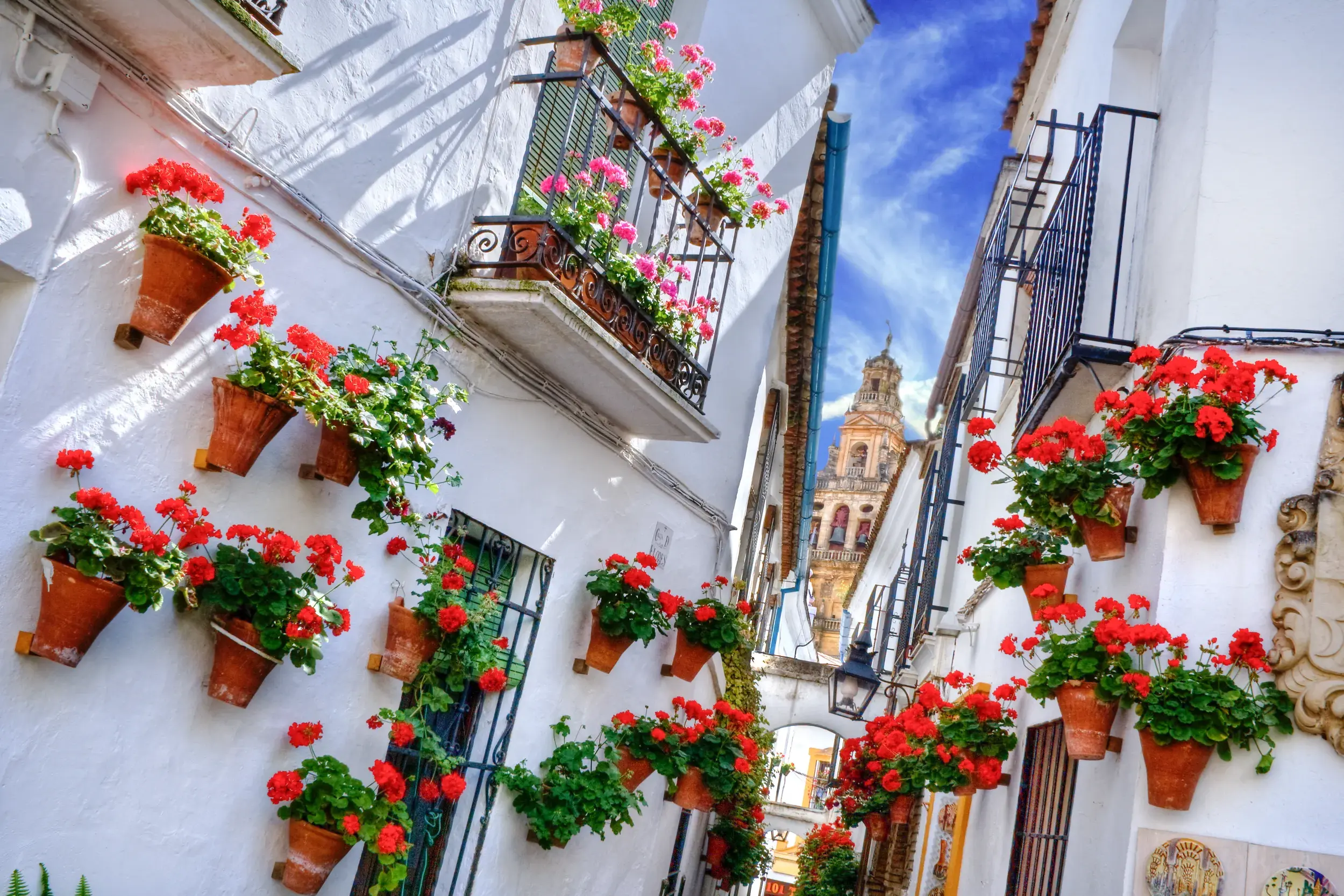 Blumengeschmückte Gasse Calleja de las Flores in Córdoba mit Blick auf den Turm der Mezquita