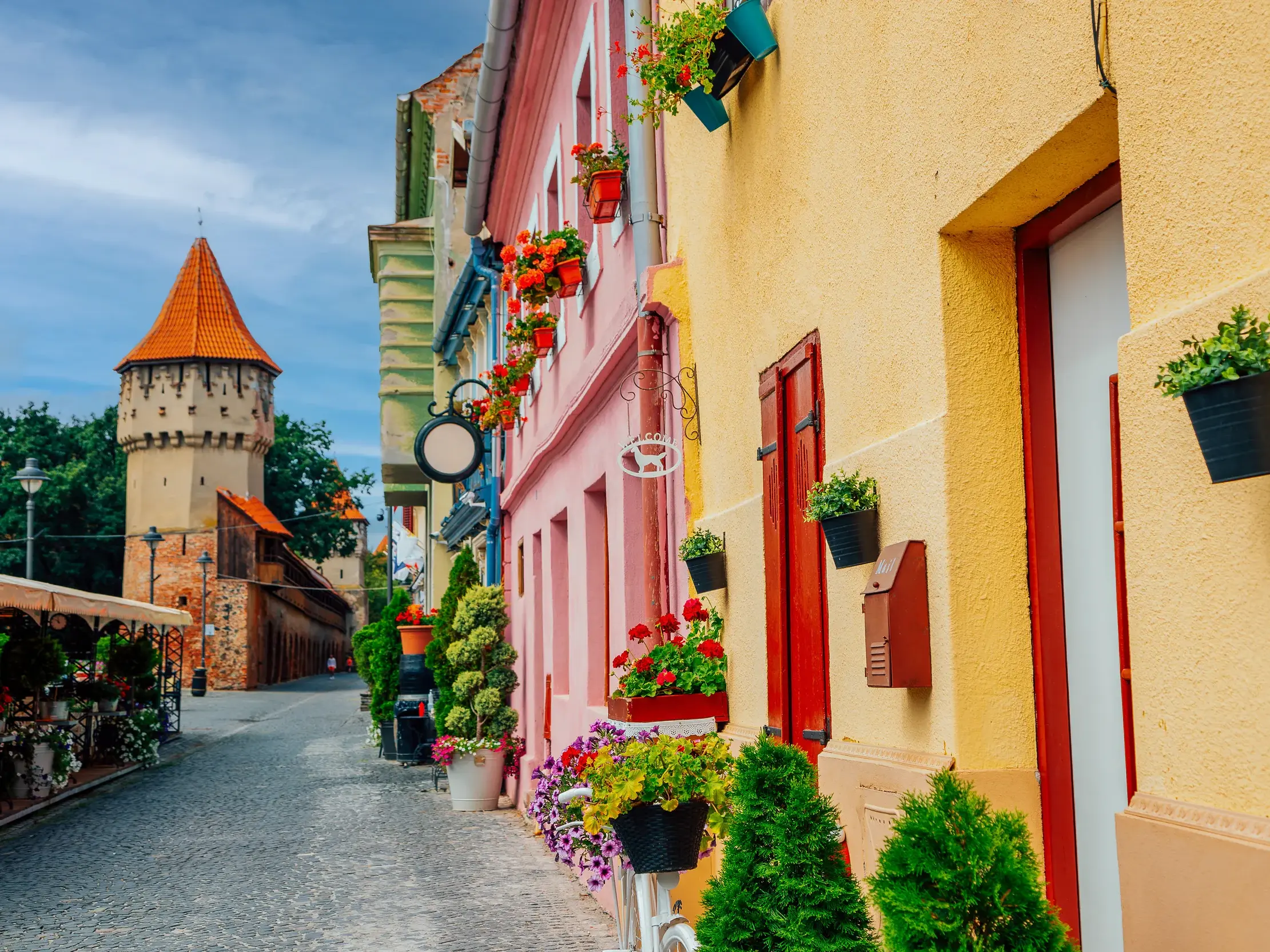 Malerische Kopfsteinpflastergasse mit bunten, blumengeschmückten Häusern in Hermannstadt, im Hintergrund der Zimmermannsturm.