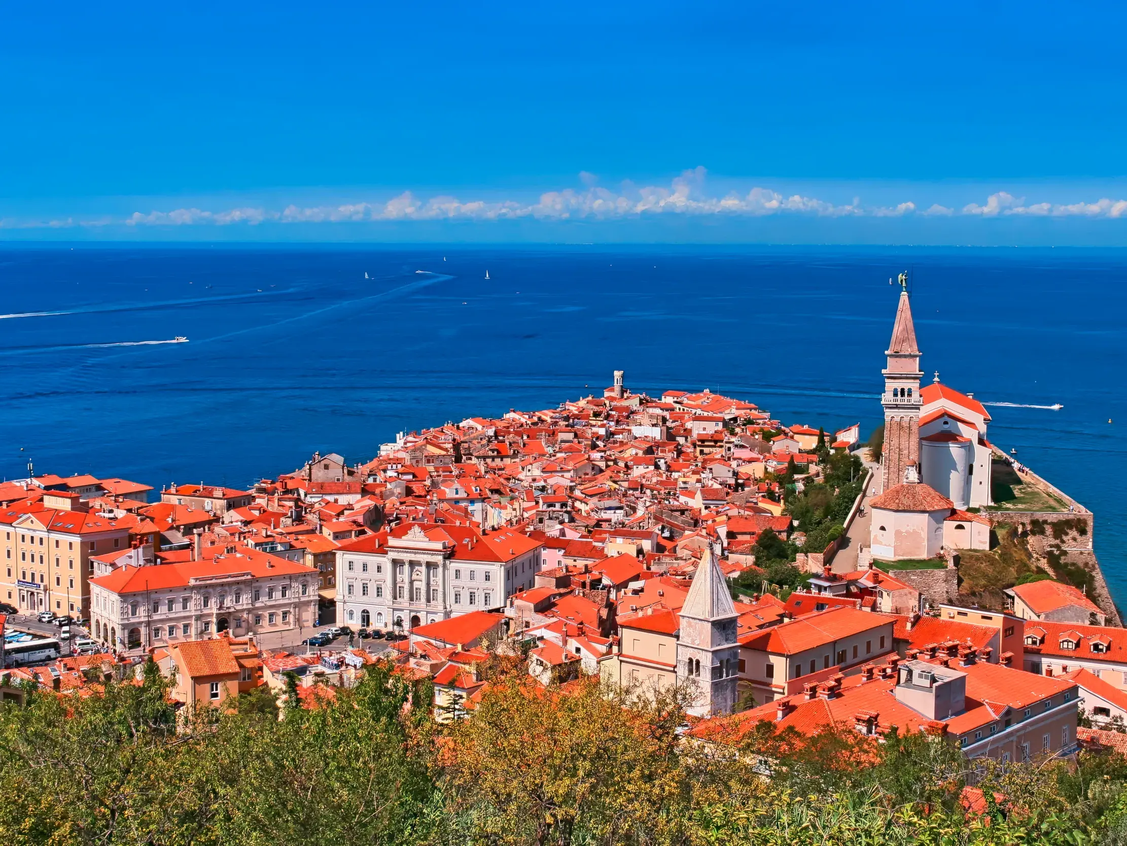 Blick auf Piran während einer Studienreise: Die slowenische Küstenstadt mit roten Dächern und Kirche am tiefblauen Adriameer.