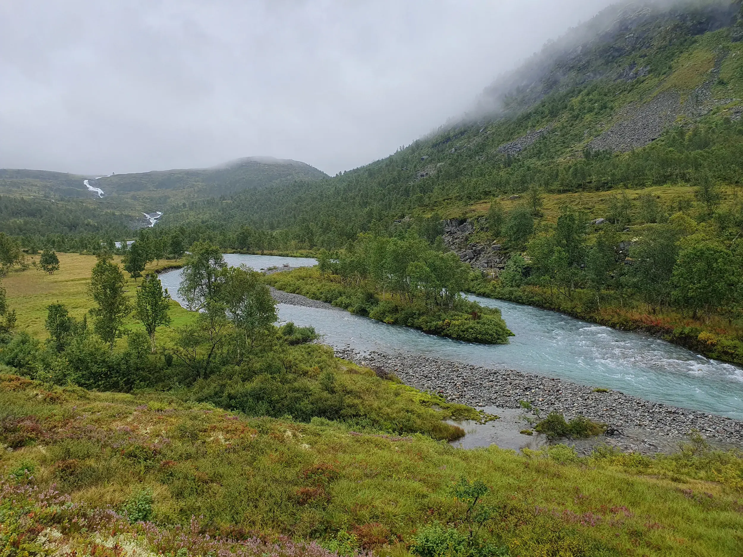 Ein türkiser Gebirgsfluss schlängelt sich durch das grüne, baumbewachsene Storåedalen im Jotunheimen Nationalpark.