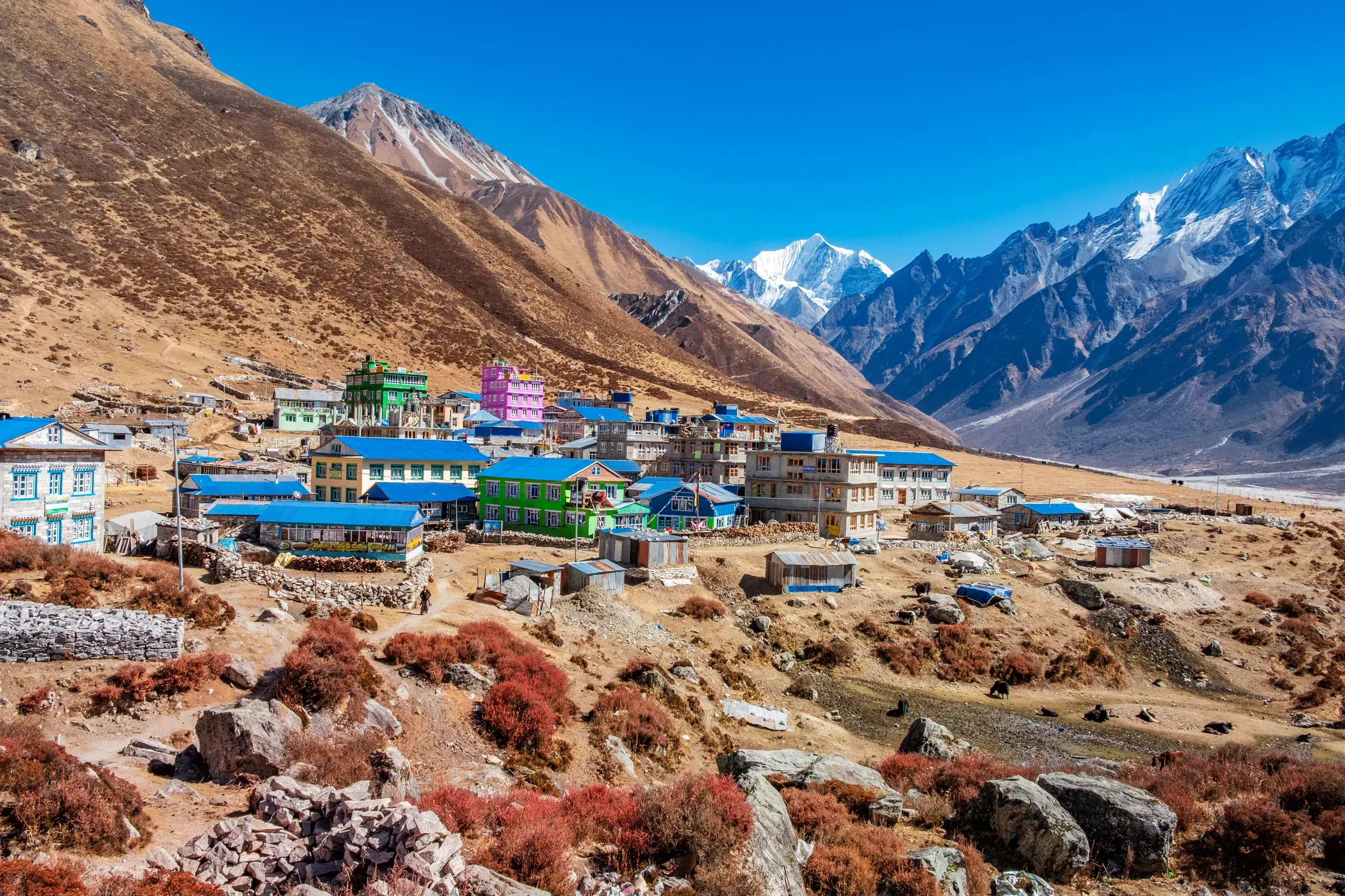 Das Bergdorf Kyanjin Gompa im Langtang-Nationalpark mit bunten Häusern vor der Kulisse schneebedeckter Himalaya-Gipfel.