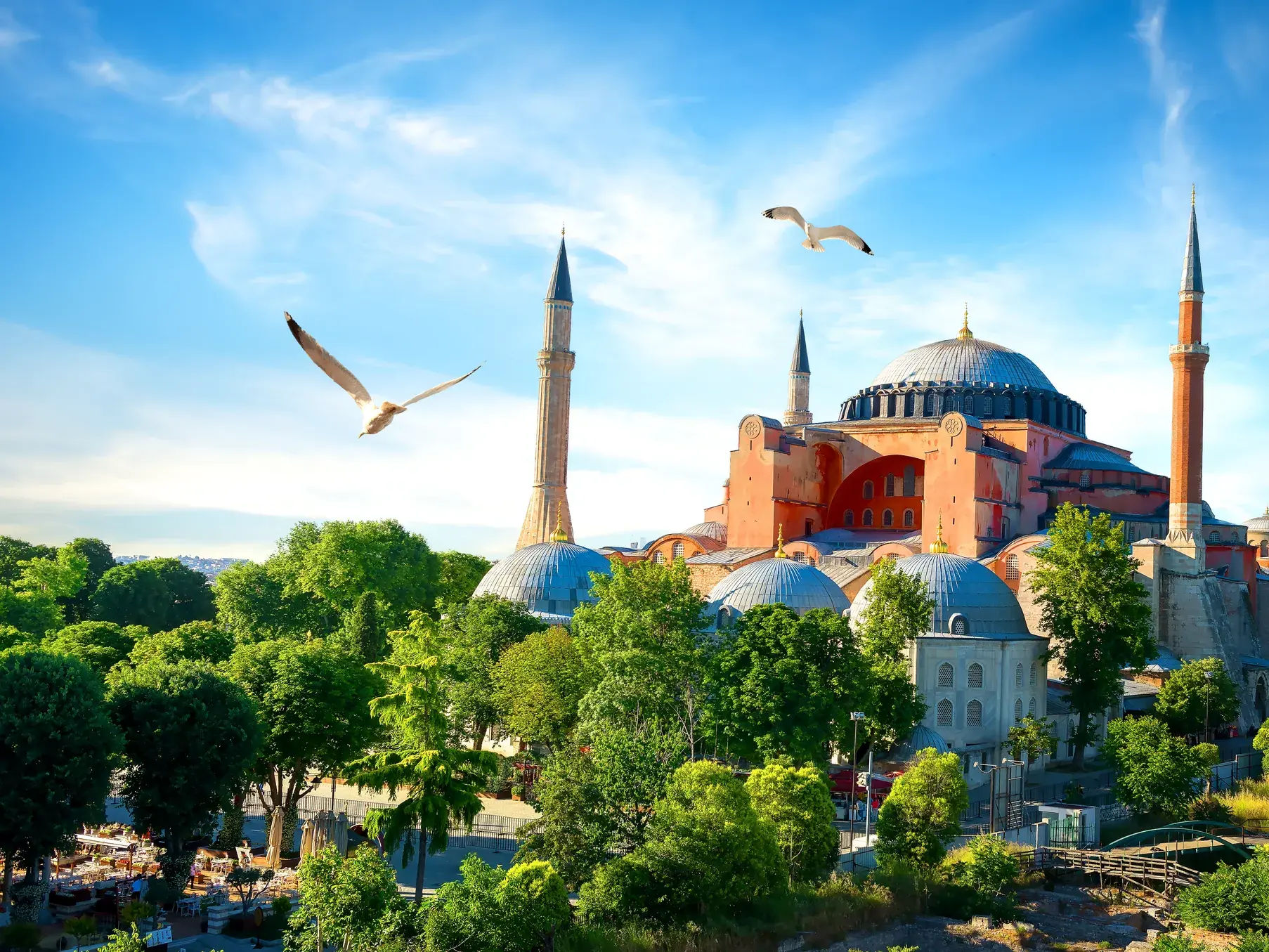 Majestätische Außenansicht der Hagia Sophia in Istanbul, umgeben von grünen Bäumen.