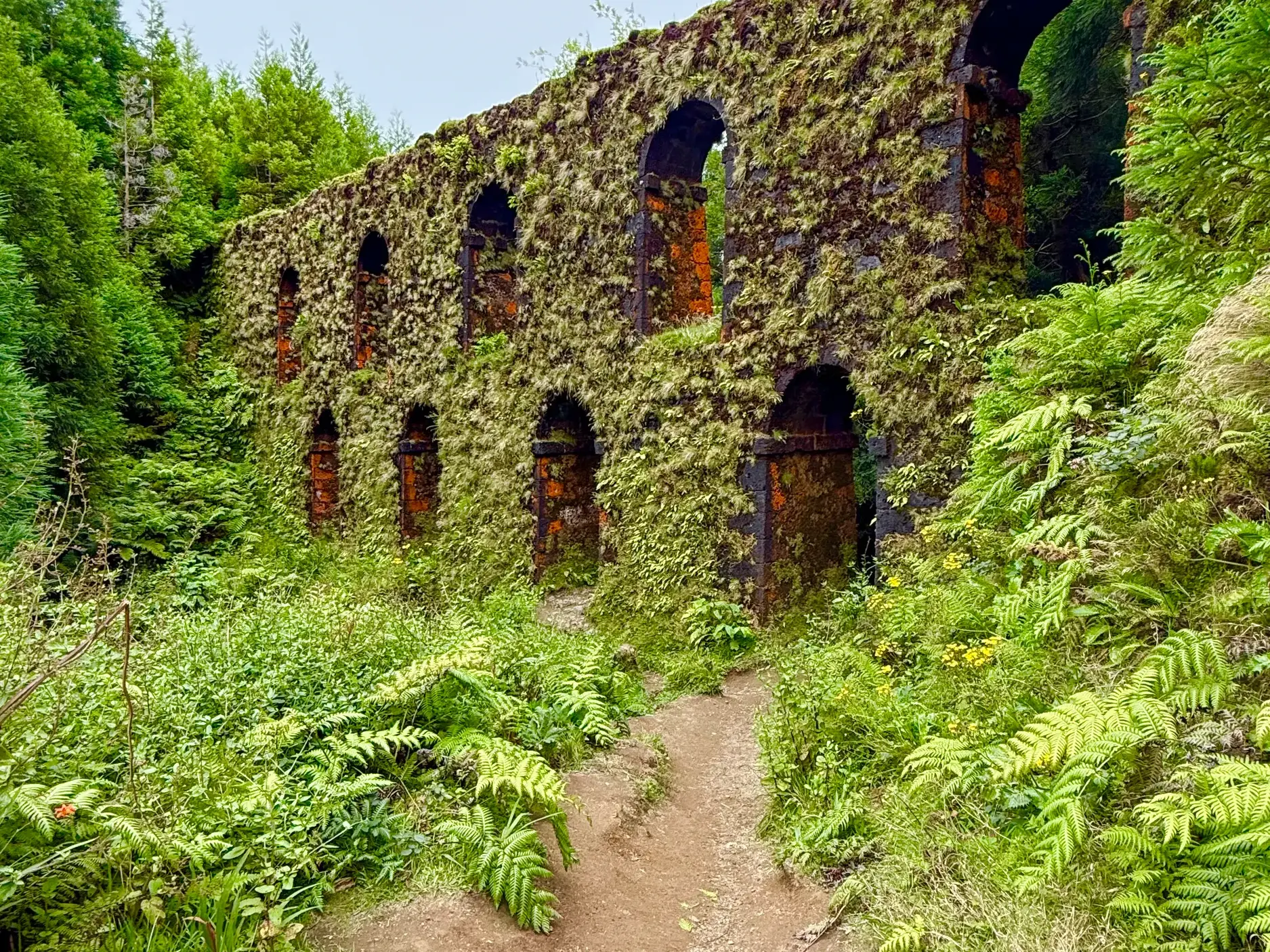 Moosbewachsene Ruine eines alten Aquädukts auf der Azoreninsel Sao Miguel, umgeben von dichtem, grünem Farn und Wald.