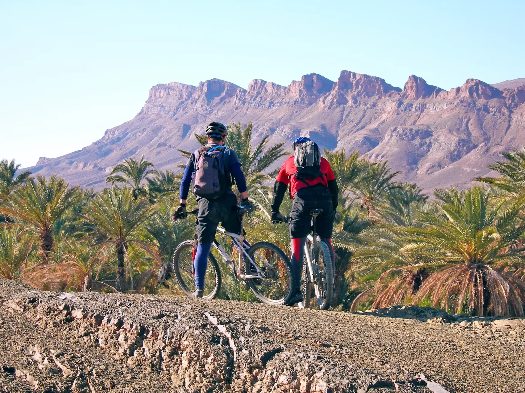 Zwei Mountainbiker halten auf einem Schotterweg an und blicken über eine grüne Oase auf das zerklüftete Jebel Sarhro Gebirge.