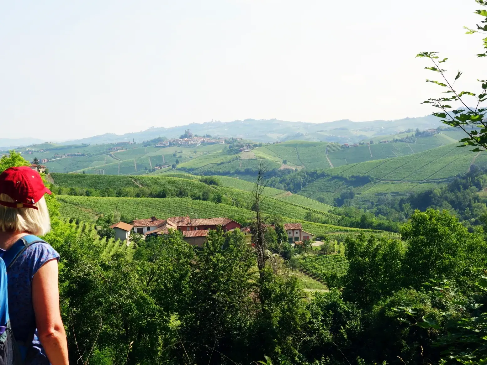 Wanderin mit Rucksack blickt vom "Balkon der Langhe" über die weiten Weinberge und Hügel des Barolo-Gebiets im Piemont.