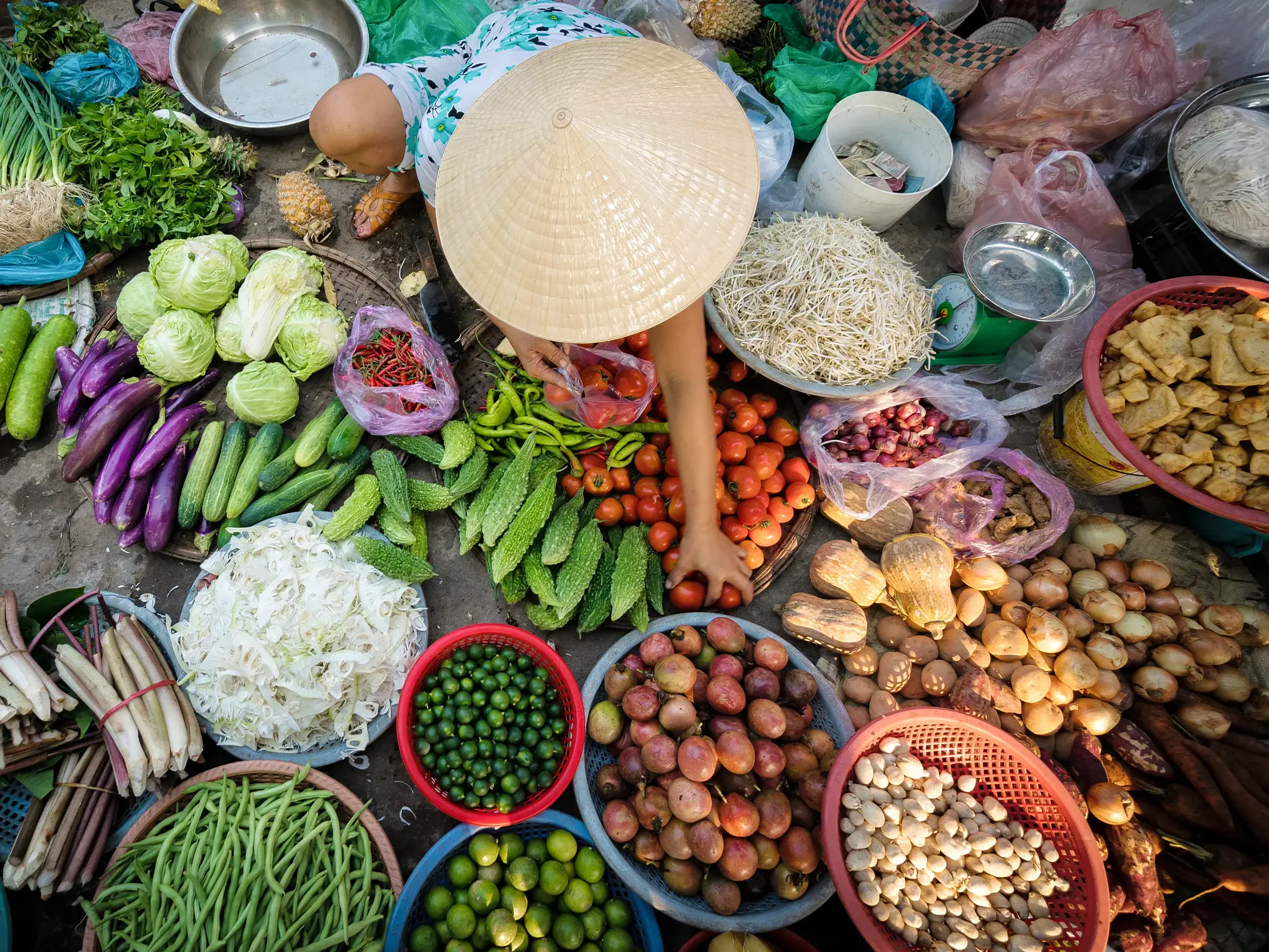 Frau mit traditionellem Kegelhut wählt auf einem vietnamesischen Markt frische Tomaten aus einer bunten Gemüseauslage.