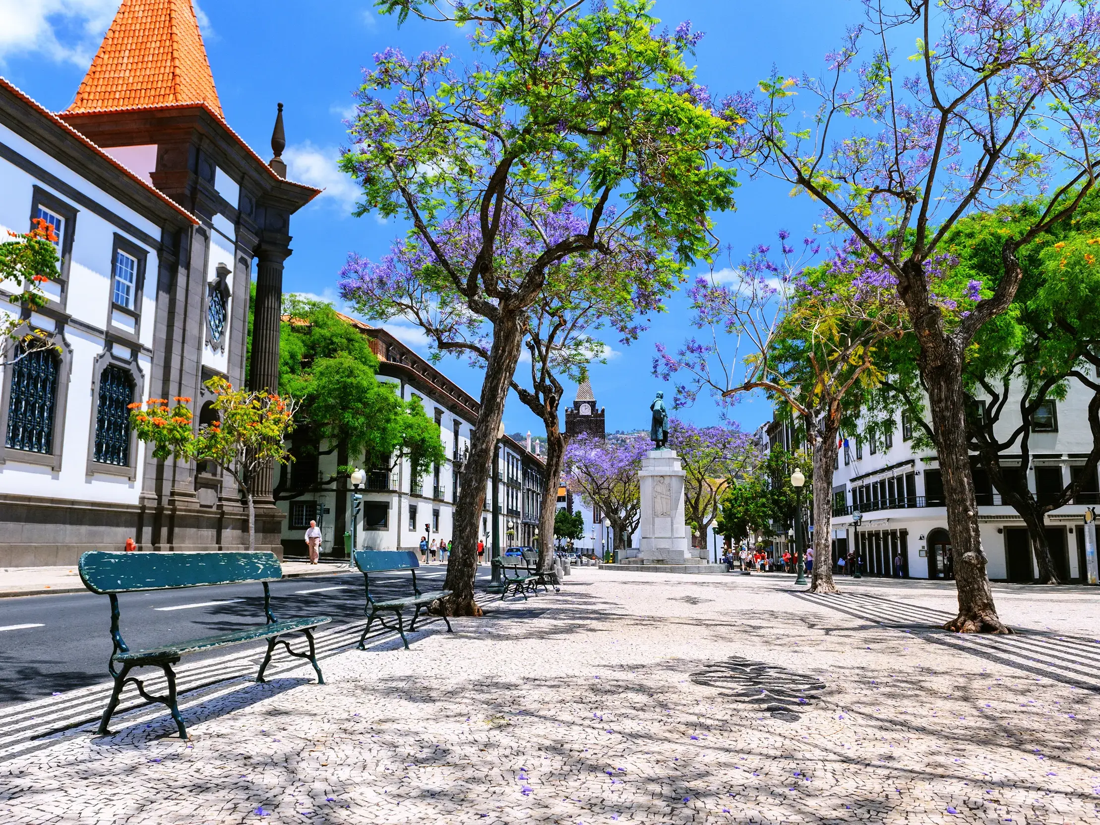 Sonniger Stadtplatz in Funchal mit lila blühenden Jacaranda-Bäumen, Bänken und historischen Gebäuden auf der Insel Madeira.