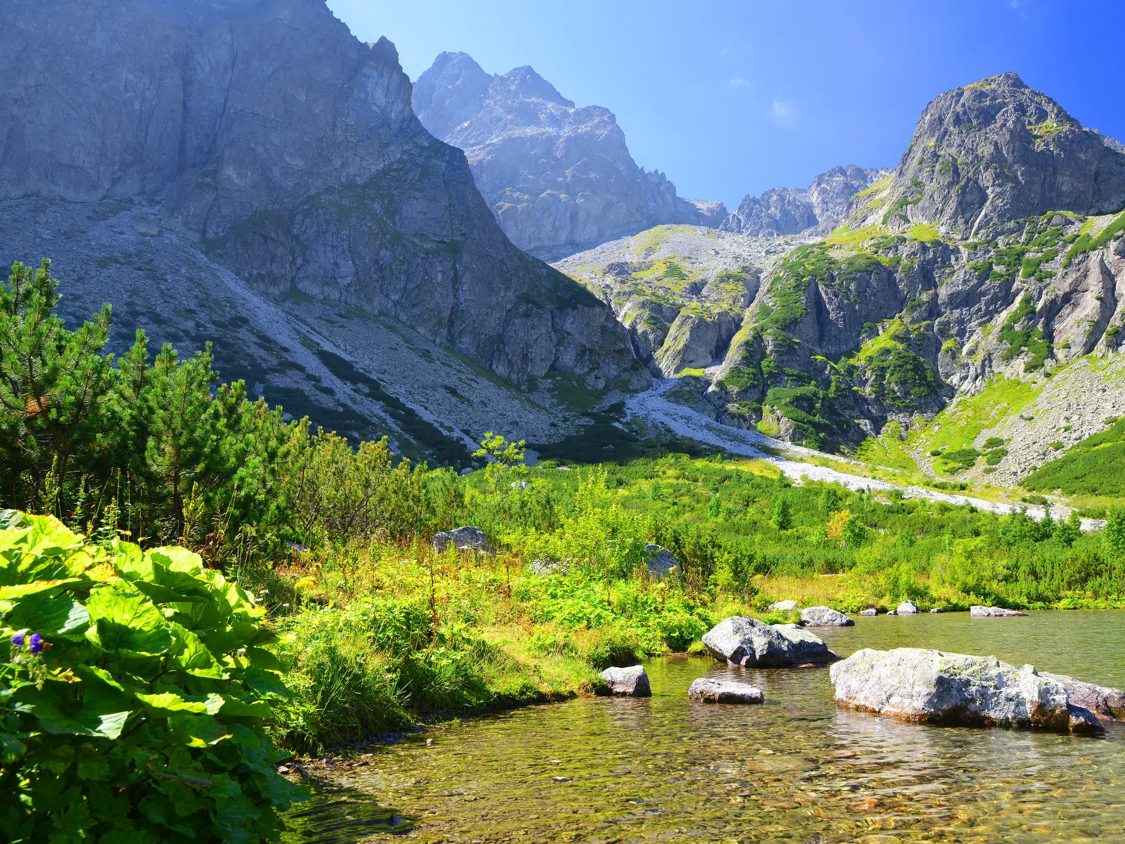 Sonniger Tag an einem klaren Bergsee in der Hohen Tatra, umgeben von grünen Wiesen und steilen Felsgipfeln.