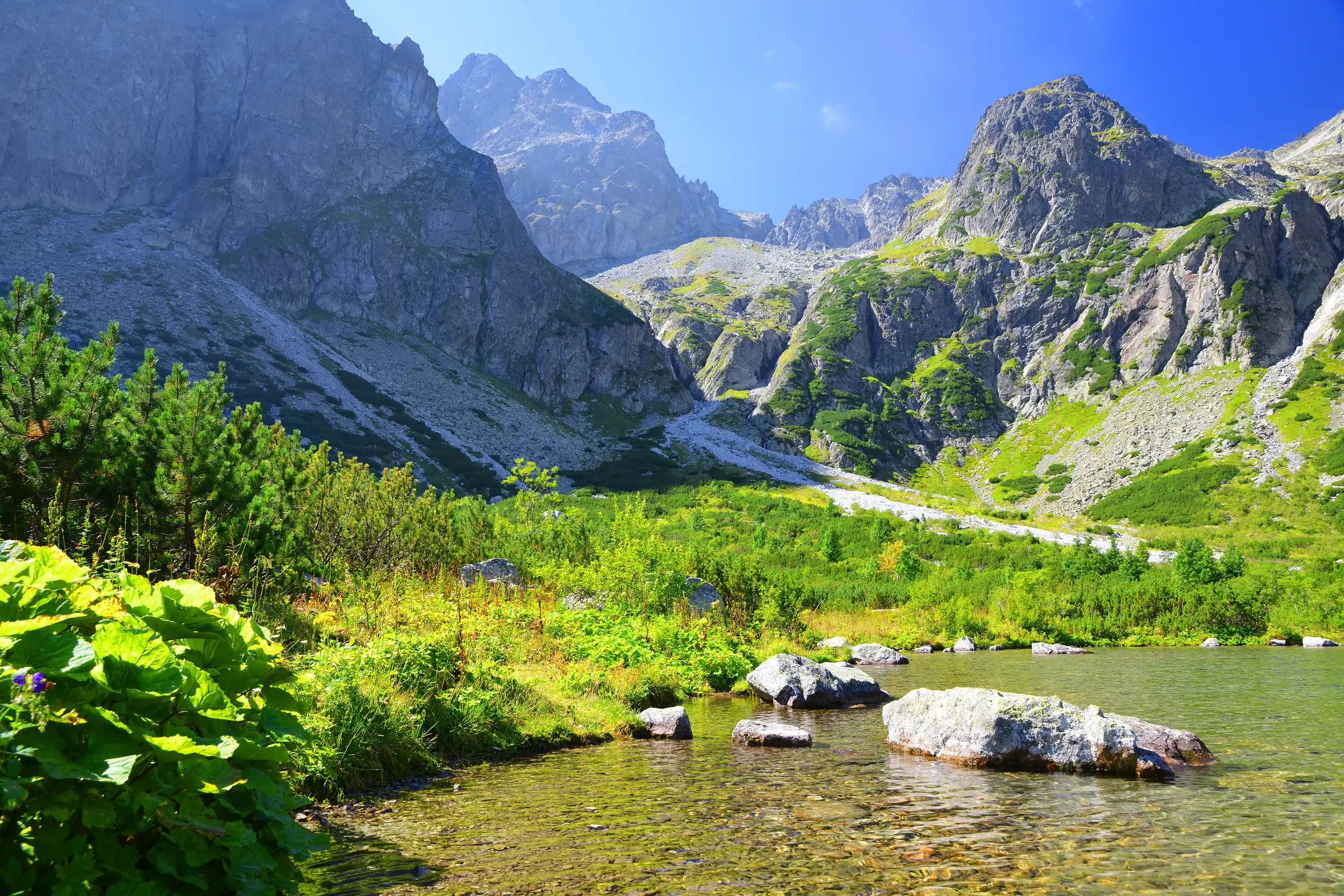 Sonniger Tag an einem klaren Bergsee in der Hohen Tatra, umgeben von grünen Wiesen und steilen Felsgipfeln.