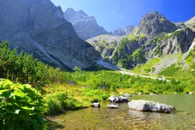 Sonniger Tag an einem klaren Bergsee in der Hohen Tatra, umgeben von grünen Wiesen und steilen Felsgipfeln.