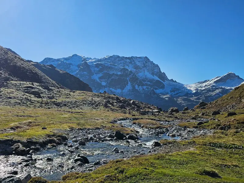 Ein klarer Bergbach fließt durch ein sonniges Alpental in Graubünden, im Hintergrund erheben sich schneebedeckte Alpengipfel.