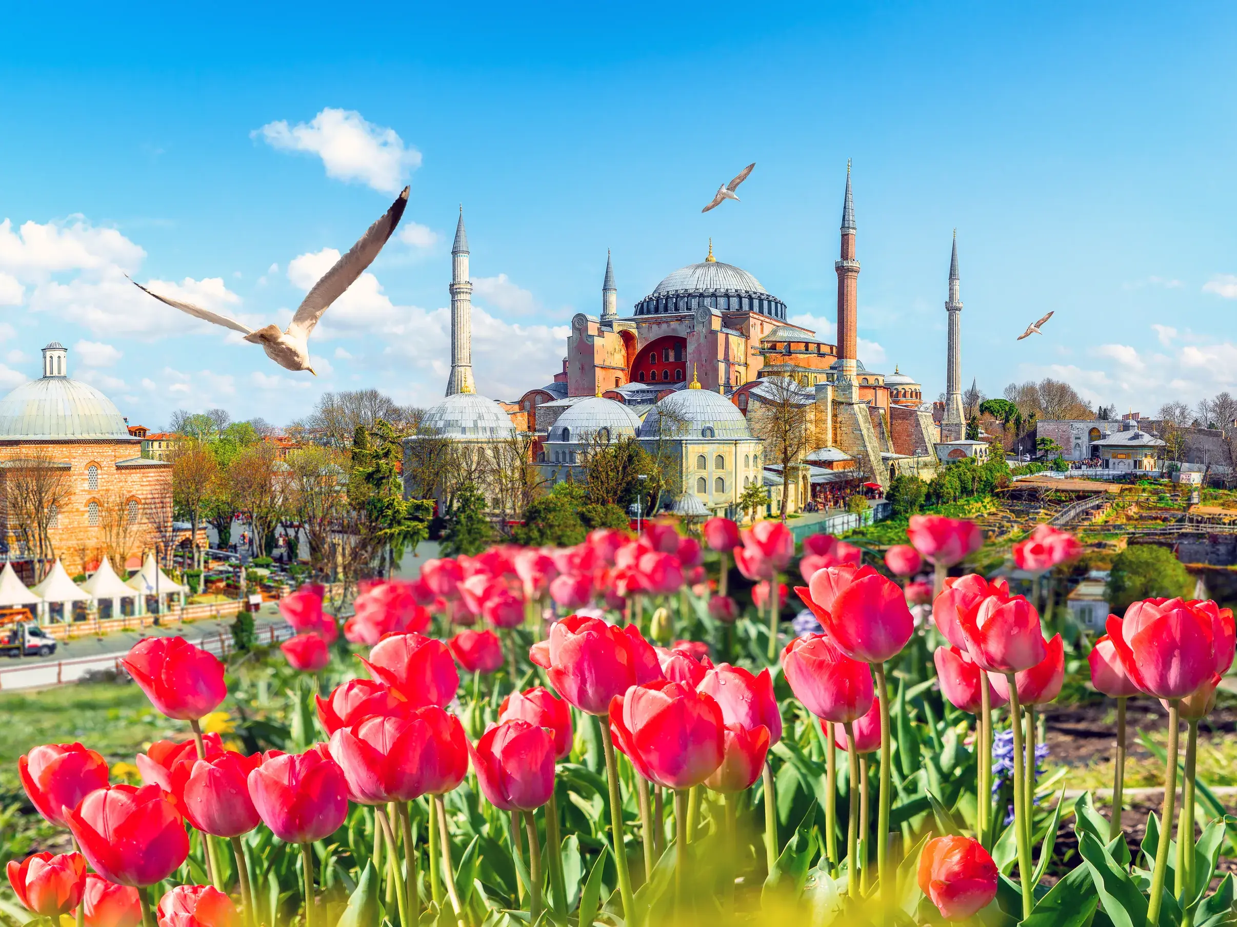 Blick über rote Tulpen während des Tulpenfestivals auf die Hagia Sophia in Istanbul unter blauem Himmel